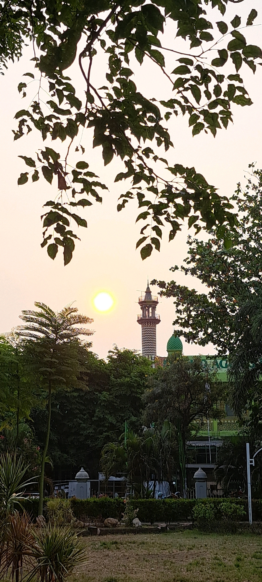 The image depicts a view of the Al-Akbar Mosque in Bangil, Indonesia, during sunset. The sun, a bright yellow orb, is positioned in the upper left quadrant of the frame. In the foreground, foliage from trees hangs down, framing the scene. Behind the foliage, a mosque minaret with a distinctive checkered pattern rises above a canopy of green trees. A green dome of the mosque is also visible. The lower portion of the image shows a park-like setting with grass, plants, and a paved pathway. A lamppost is visible on the far right. There are no people clearly visible in the scene. The overall atmosphere is serene, with the soft light of the setting sun casting a warm glow.