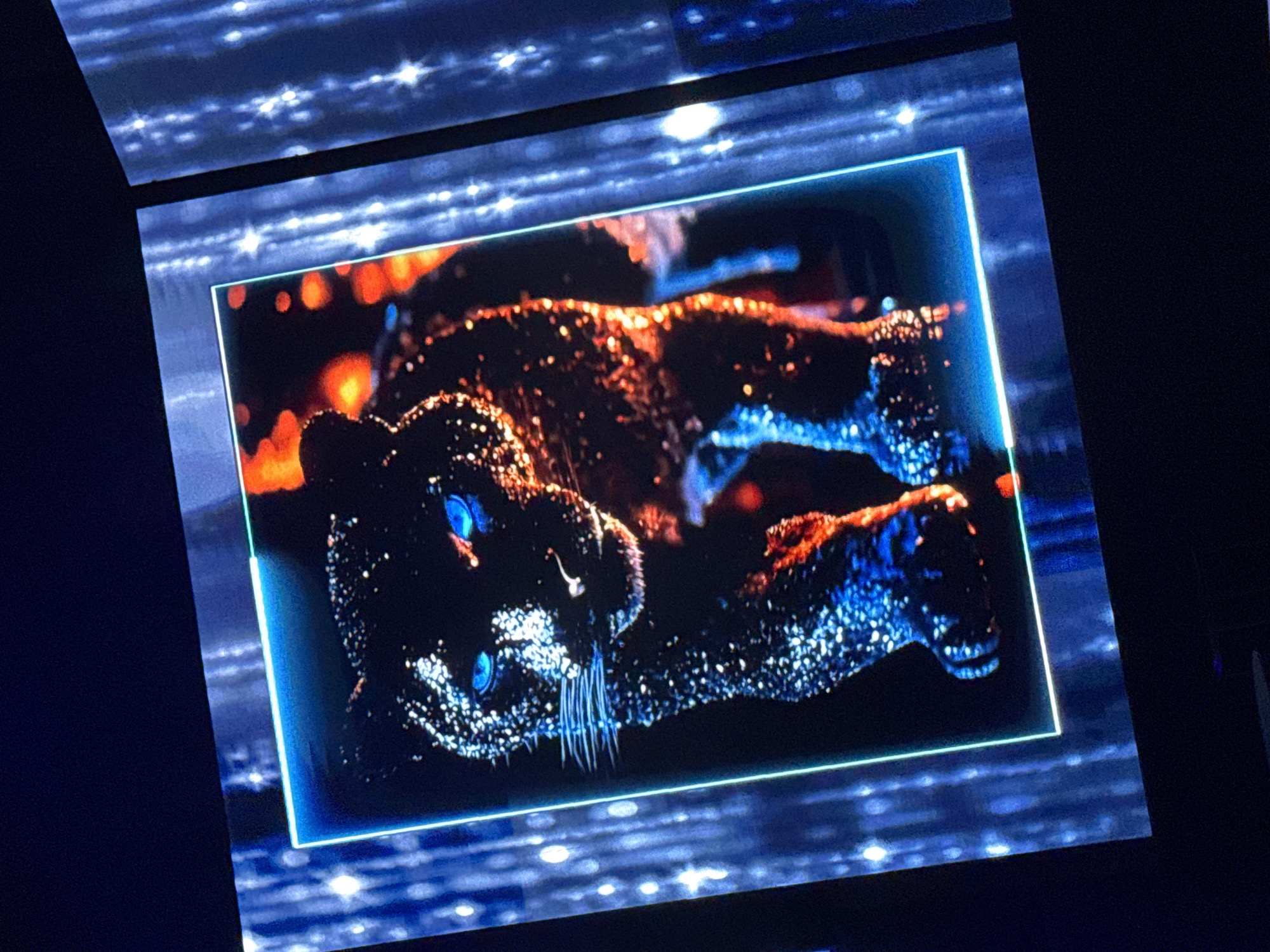 A vertical digital image of a black panther is centrally displayed on a screen, oriented slightly to the viewer's left. The panther exhibits glowing blue eyes, and its body is rendered with numerous sparkling points of light, transitioning from blue on its left side and front legs to orange-red on its right side and hindquarters. A thin, bright blue border frames this central image. Surrounding panels or screens display an abstract background featuring vertical blue light streaks and scattered white, star-like glints. The overall environment is dark, emphasizing the luminescence of the digital artwork. This scene is located in Plovdiv, Bulgaria.