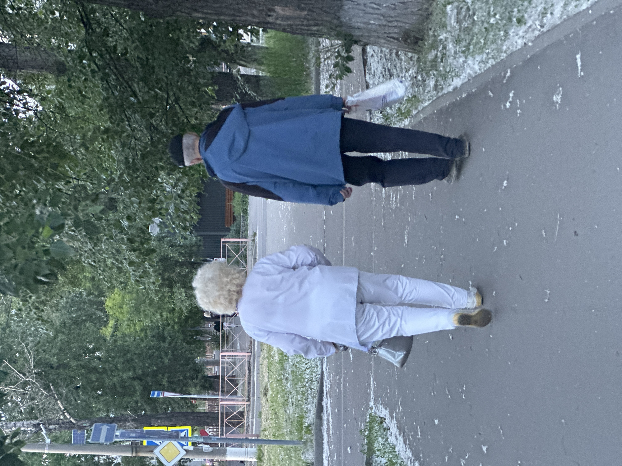 The image shows two individuals walking on a paved path in Shelekhov, Russia. The person in the foreground is wearing a white outfit and a voluminous blonde wig. They are carrying a silver bag. Behind them, another person is walking, dressed in a blue jacket and black pants, carrying a rolled-up white object. The scene appears to be outdoors, with trees and greenery visible in the background. The ground is wet, and there are scattered white flecks, possibly indicating recent rain or snowfall. Traffic signs are visible in the lower part of the image. The lighting suggests it could be daytime, possibly overcast. The overall impression is of an unusual or staged scene, given the attire of the person in the foreground.
