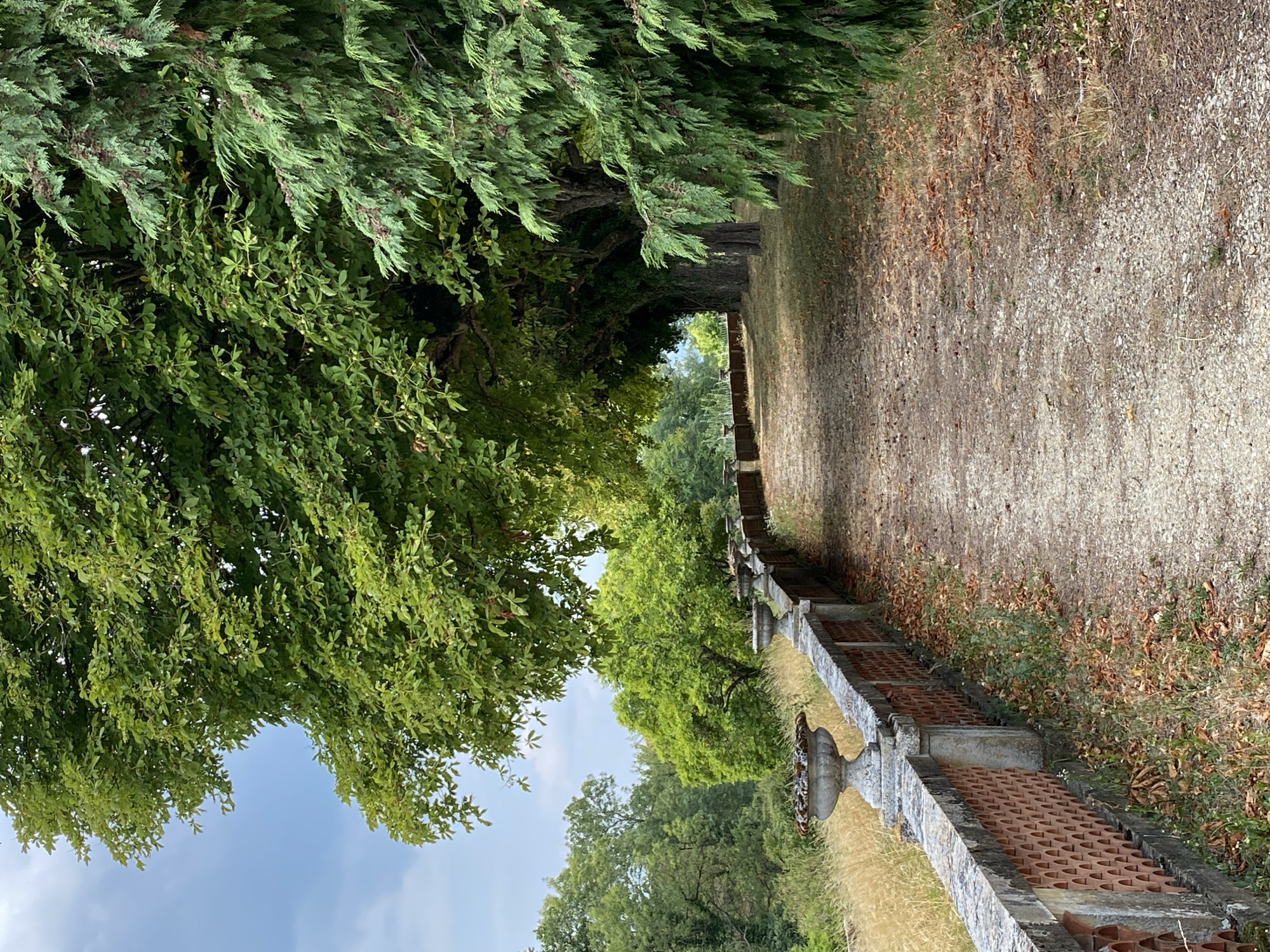 This image depicts a pathway lined with a stone and brick balustrade, leading into a grove of trees. The pathway is covered in gravel and scattered with fallen leaves. On the left side of the pathway, the balustrade features ornate stone urns. The background reveals a lush green landscape with a mix of deciduous and coniferous trees under a slightly overcast sky. The scene suggests a park or garden setting. The provided hints indicate that the image is located in Laténa, Switzerland.