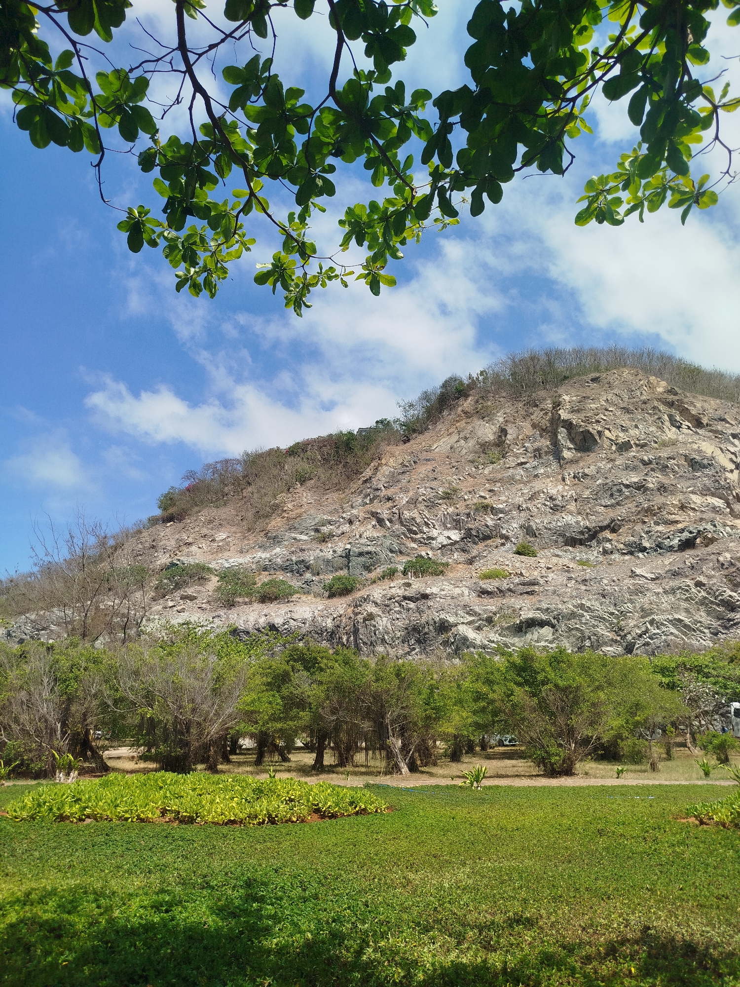 The image shows a landscape with a mountain as the backdrop. The mountain is rocky with layers of different colored stone and some sparse vegetation. At the foot of the mountain, there is a line of trees separating the mountain from a grassy area in the foreground. The foreground consists of low-lying green plants. The sky is blue with scattered white clouds. Green leafy branches are visible in the upper portion of the image, obscuring the sky. There is no indication this image is in Ho Chi Minh City, Vietnam.