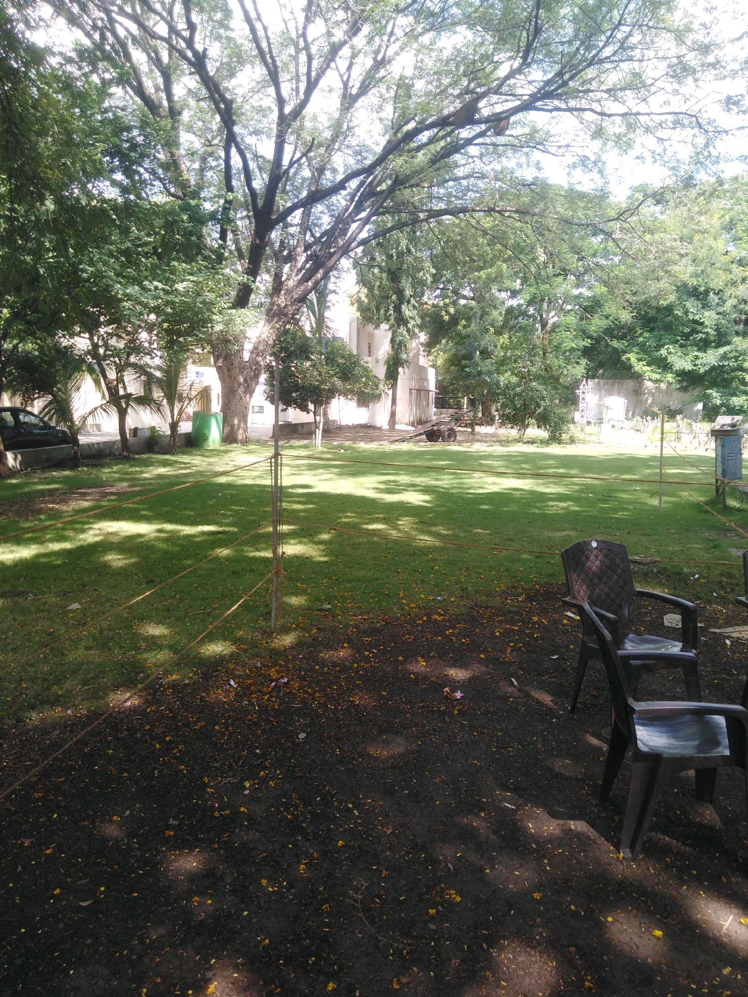 The image captures a sun-dappled lawn with a few plastic chairs in the foreground. A large, mature tree dominates the background, its branches spreading wide. Behind the tree, a building with a light-colored facade is visible, suggesting an urban or suburban setting. The ground is covered with green grass, interspersed with fallen yellow leaves and some dark soil. In the distance, a car is parked near the building. The scene appears to be in Nanded, India, given the cultural context often associated with such greenery and architecture.