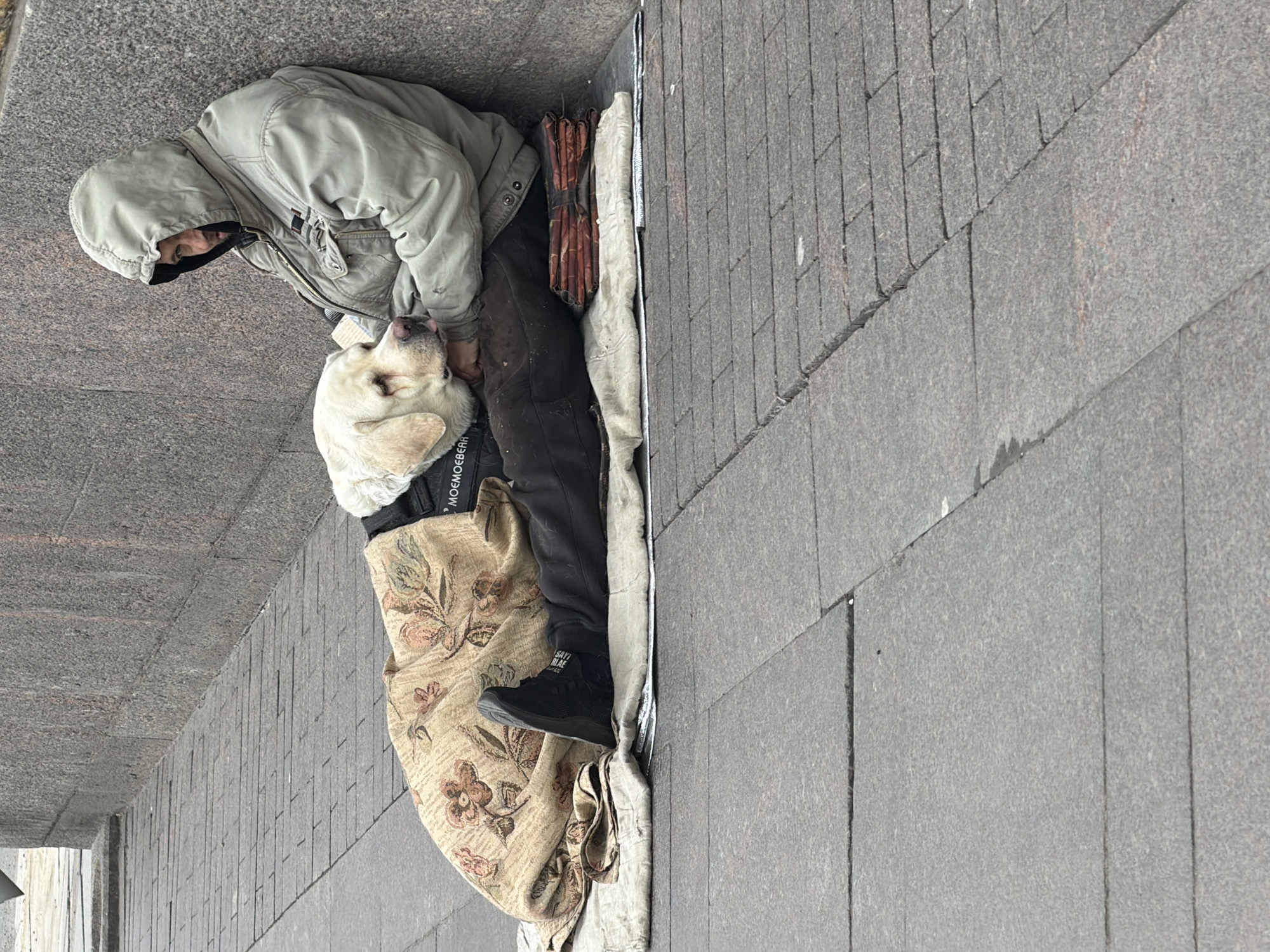 The image depicts a person and a light-colored Labrador-type dog resting together on a paved urban surface, consistent with a sidewalk or public square in a city such as Saint Petersburg, Russia. The person, an adult wearing a hooded, light olive-green jacket, dark pants, and black athletic shoes, is lying or sitting on the ground. Their face is visible beneath the hood, looking down towards the dog.
The dog is positioned close to the person, looking up at them with its head near the person's face, suggesting an affectionate interaction. It wears a dark harness with partially visible white text that appears to read "MOEMOEBEAR" or similar.
For bedding, the person is covered by a beige blanket with a floral pattern, and a lighter, possibly greyish fabric underneath. A reflective or metallic sheet is visible beneath these layers, likely serving as insulation from the cold ground. A rolled-up item with a reddish-brown, textured pattern, possibly another blanket or mat, is also present near the person's upper body.
The ground is composed of grey stone or concrete pavers. The lighting suggests it is daytime but overcast, providing soft, diffused light. The person's warm clothing implies cooler weather. The overall scene highlights the companionship between the person and their dog. Text is also partially visible on the person's shoe.