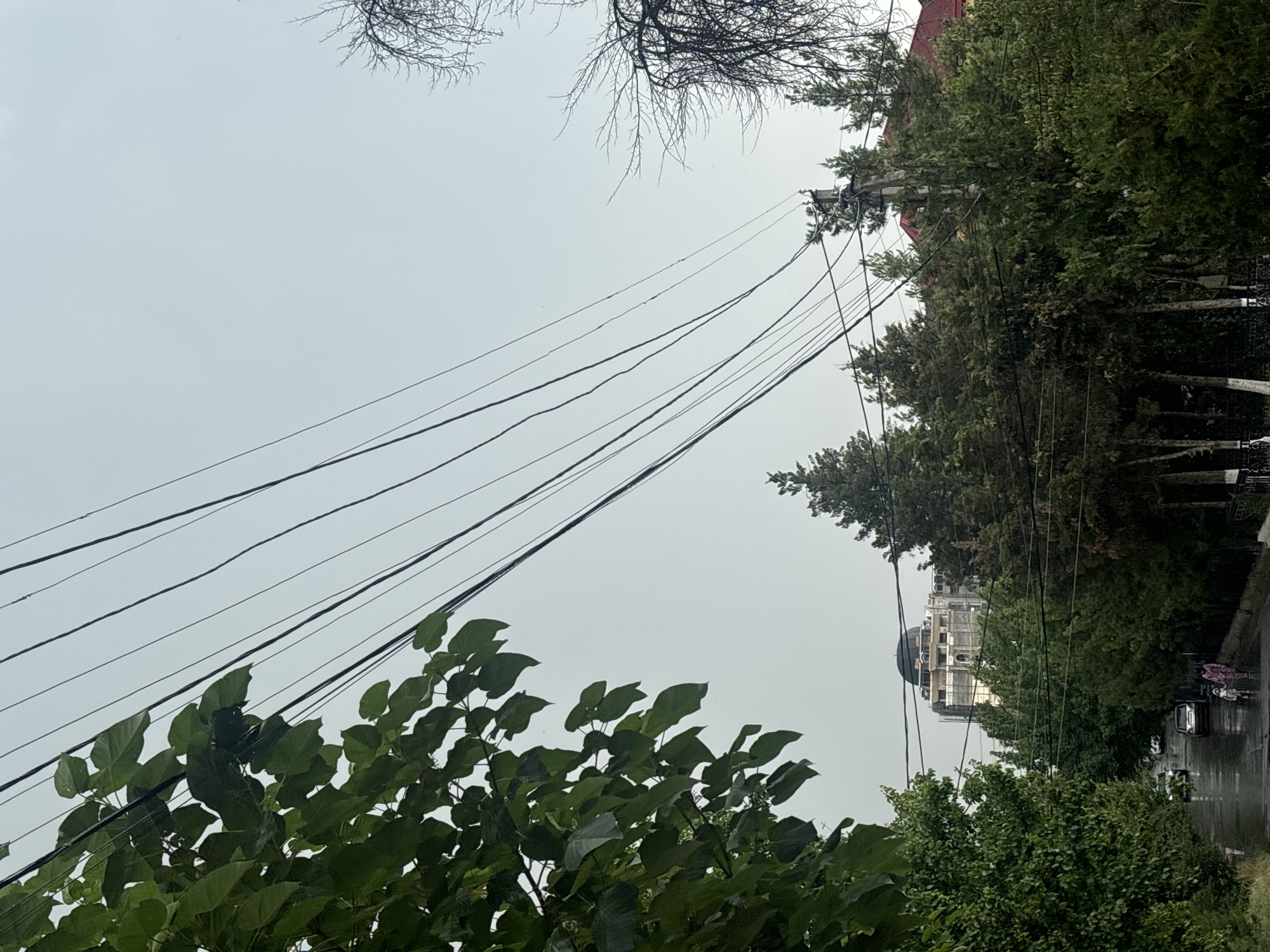 The image captures a street scene in Tashkent, Uzbekistan, under an overcast sky. A tree with lush green leaves dominates the left foreground, partially obscuring a view of utility wires that stretch across the frame. The wires are strung between utility poles and are a prominent feature against the pale sky.
In the mid-ground, a street lined with trees leads towards a building under construction. This building features a large, dark dome and scaffolding, suggesting an ongoing construction project. Several vehicles are visible on the wet asphalt road, indicating recent rain. Two individuals, a woman and a child, are walking on the sidewalk to the right of the road. They are dressed in casual clothing, and the woman is wearing a patterned dress.
The environment appears to be a residential or mixed-use area within the city, characterized by mature trees, paved roads, and a mix of existing structures and new developments. The presence of utility wires is typical of urban infrastructure. The overall atmosphere is subdued, likely due to the cloudy weather.