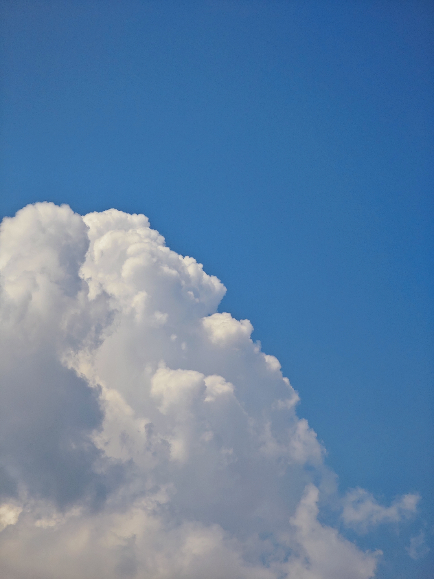 The image shows a partially cloudy blue sky. In the lower left quadrant, a large cumulus cloud dominates the frame, its fluffy white mass contrasting with the deep blue of the sky. The cloud appears bright and textured, with areas of light and shadow suggesting depth. The rest of the image is clear blue sky. No people, objects, or buildings are visible. The scene depicts a natural outdoor environment. The location in Pogodaevo, Russia, is not visually discernible from the image itself.