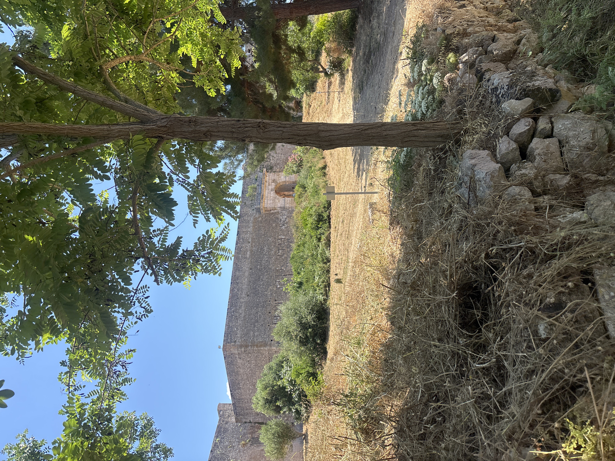 This is an outdoor scene likely taken at or near the medieval castle of Pylos, Greece. The foreground shows a tree with green leaves and bare branches. To the right of the tree, there's a pathway and a pile of rocks. Adjacent to the pathway, there's a field of dry, golden-brown grass. In the background, a stone wall characteristic of ancient structures such as castles or fortresses is visible. There's also a doorway or arched opening in the wall. The sky visible between the wall and the tree leaves is clear and blue. The scene suggests a historical site in a Mediterranean environment during a dry season.