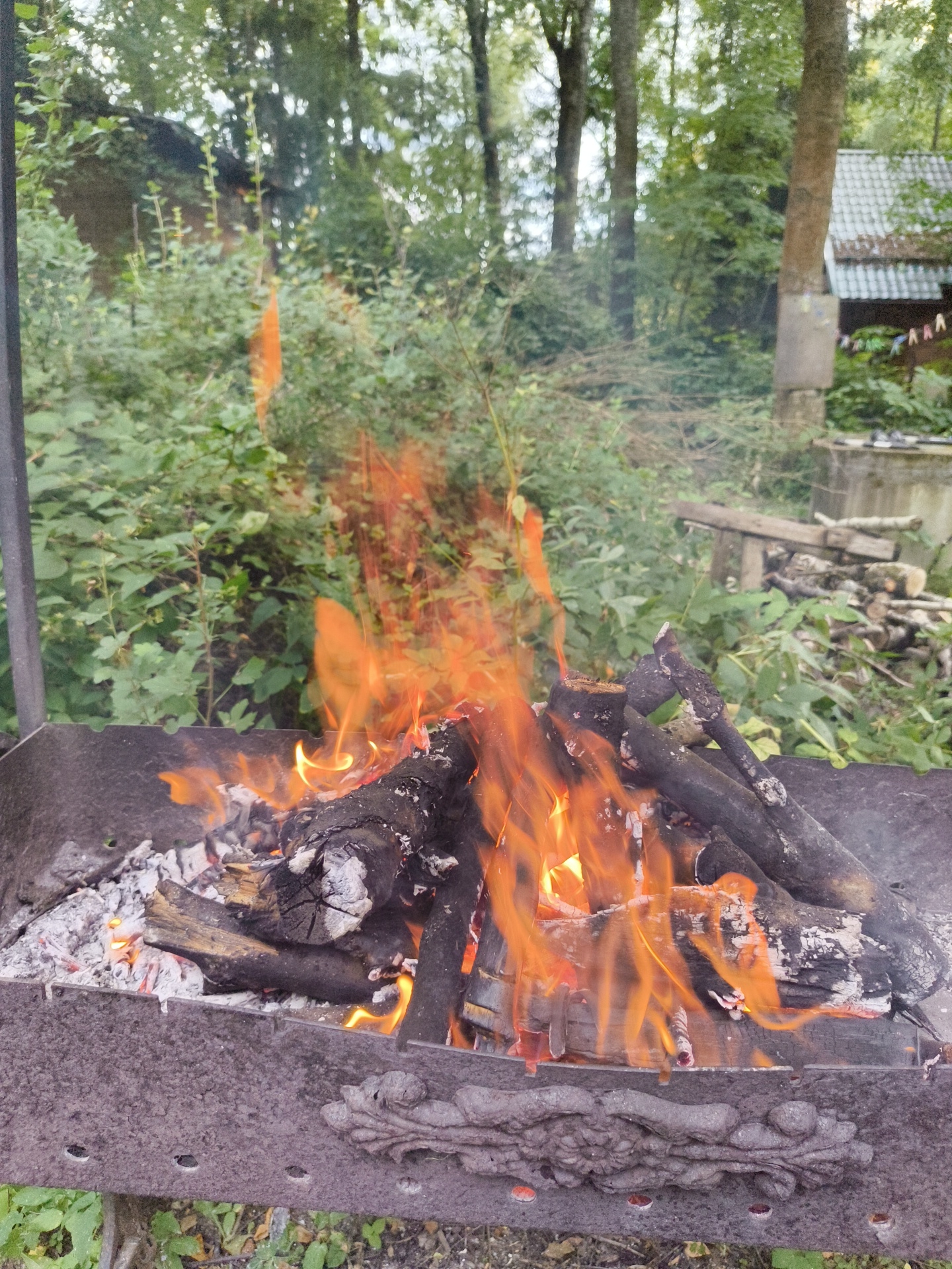A close-up, eye-level outdoor shot captures a charcoal grill with burning logs and glowing embers. The grill is made of dark, weathered metal, with small holes along the rim and an ornate decorative element on the front. Logs of varying sizes are stacked within, actively burning with bright orange and yellow flames. Ashes are visible in the bottom of the grill. The background is a lush green environment, with dense foliage and trees. In the distance, hints of structures can be seen, including a house with a tiled roof. The scene appears to be set in a rural or natural area, possibly a backyard or a campsite. The lighting suggests it's daytime, with natural light illuminating the scene.