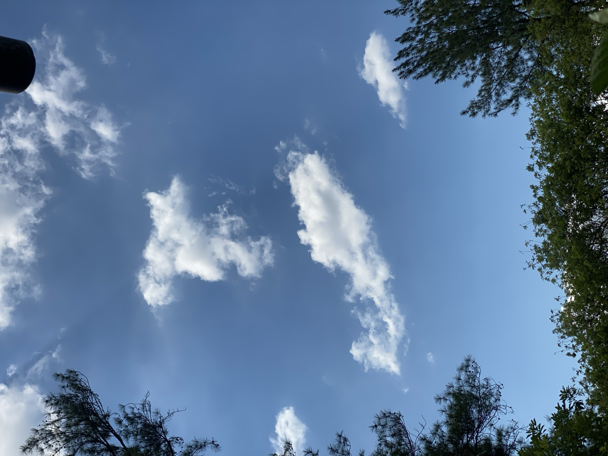 The image depicts a clear blue sky with scattered white clouds. In the foreground, the tops of green trees frame the bottom of the image. Pine branches with needles are visible in the upper left and right corners. A dark, cylindrical object is partially visible in the top right corner, suggesting an artificial structure. The scene appears to be an outdoor environment, possibly a park or a residential area. The lighting suggests it is daytime. The location is specified as Banjarbaru, Indonesia. There are no people or animals visible in the image.
