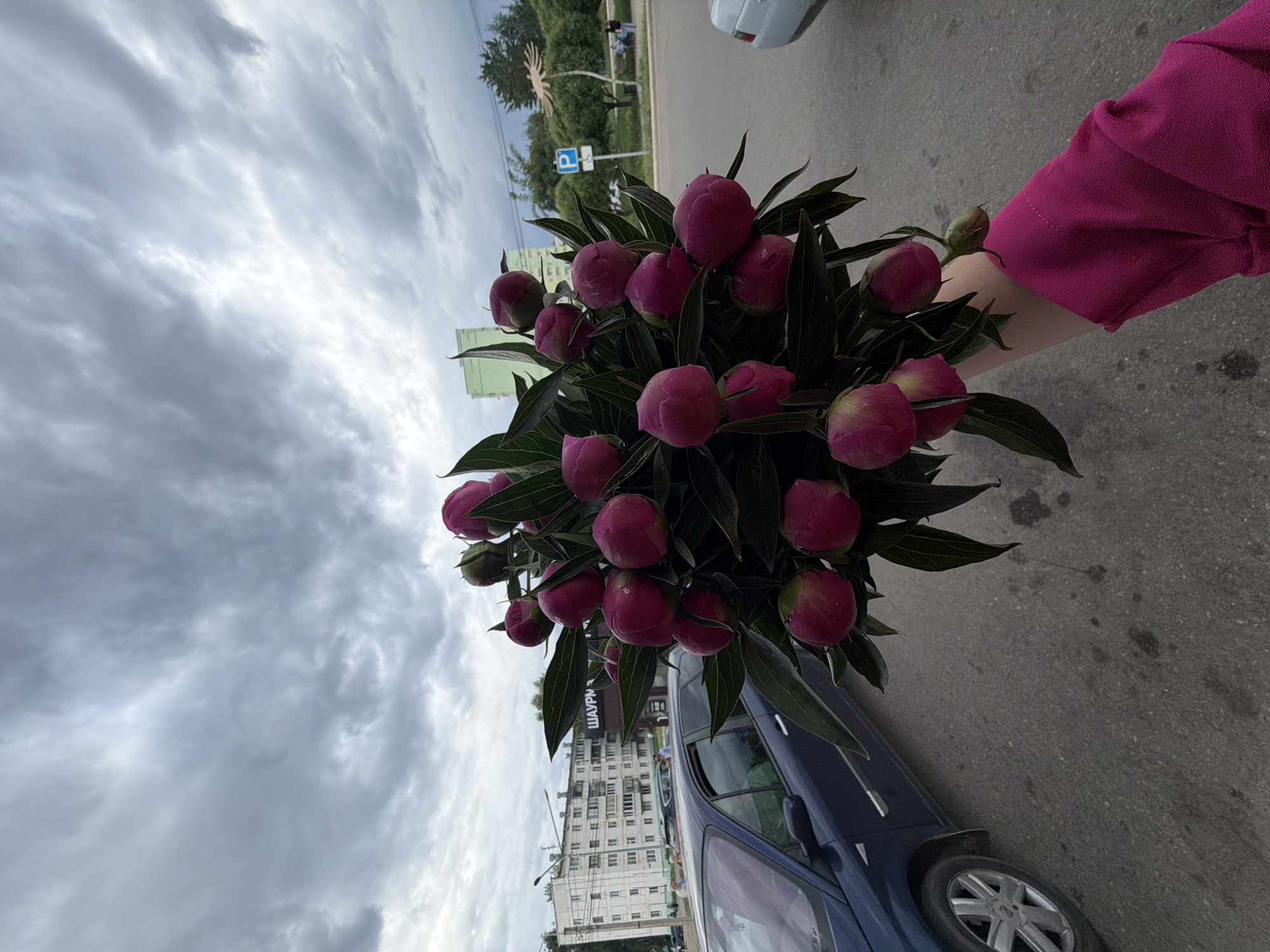 The image depicts a person holding a bouquet of dark pink peonies outside in the city of Chaikovsky, Russia. The peonies are still in bud form, surrounded by green leaves. The person holding the bouquet is wearing a bright pink top. The background includes a cloudy sky, a street with a blue car parked, and a building. A street sign indicating parking is also visible. The bouquet appears to be in front of the "Shaurma" building.