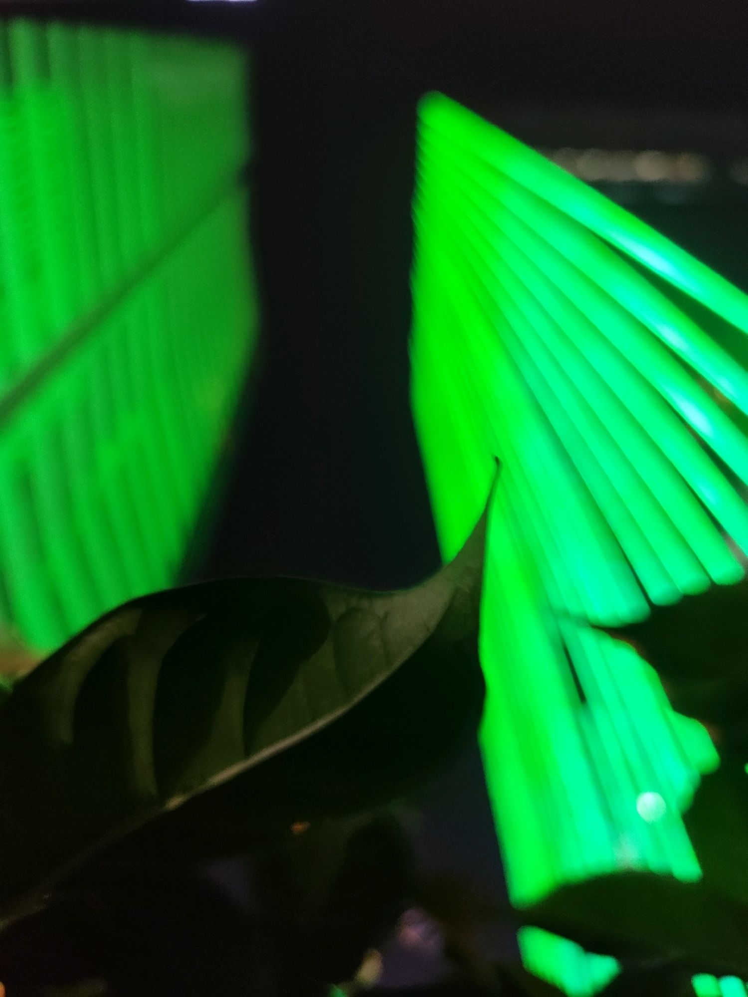The image shows a close-up view of a dark green leaf in the foreground, partially obscuring a brightly lit background. The background consists of vertical, luminous green lines, suggesting a modern architectural feature or a light installation. Two distinct geometric shapes are formed by these green lights; one on the left appears to be a flattened rectangular form with vertical striations, and another on the right is a sharp, triangular form composed of multiple radiating green lines. The lighting is artificial and intense, creating a stark contrast with the dark leaf and the surrounding darkness. The scene is abstract and lacks clear context of location, people, or specific actions. The hints provided do not offer additional identifiable elements to pinpoint a specific location within Ho Chi Minh City, Vietnam.