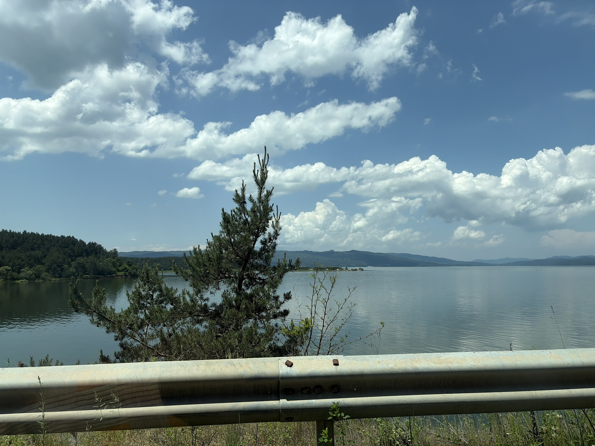 This image captures a wide-angle view of a serene natural landscape under a partly cloudy sky, taken from a roadside perspective in the city of Unknown, Unknown. The upper portion of the frame is dominated by a bright blue sky filled with numerous white cumulus clouds, casting soft light on the scene.
A vast body of calm water, appearing a muted blue-green, occupies the middle and background, reflecting the sky and distant elements. Gentle ripples are visible across its surface. On the left side of the water, a dense, dark green forest, likely composed of coniferous trees, extends along the shoreline and up a gentle slope. In the far distance, a hazy line of blue-grey mountains or hills forms the horizon across the water.
In the mid-foreground, a prominent slender pine tree with dark green needles stands centrally, partially obscuring the water. To its right, a smaller, deciduous shrub with sparse branches and minimal green leaves is present. The immediate foreground features a two-tier, light grey metal guardrail, running horizontally across the bottom third of the image. The guardrail shows signs of wear, including dirt, minor rust, and visible bolts or fasteners on its upper beam. Beneath the guardrail, sparse green and dried brown vegetation grows along what appears to be a roadside verge. No human or animal subjects are visible.