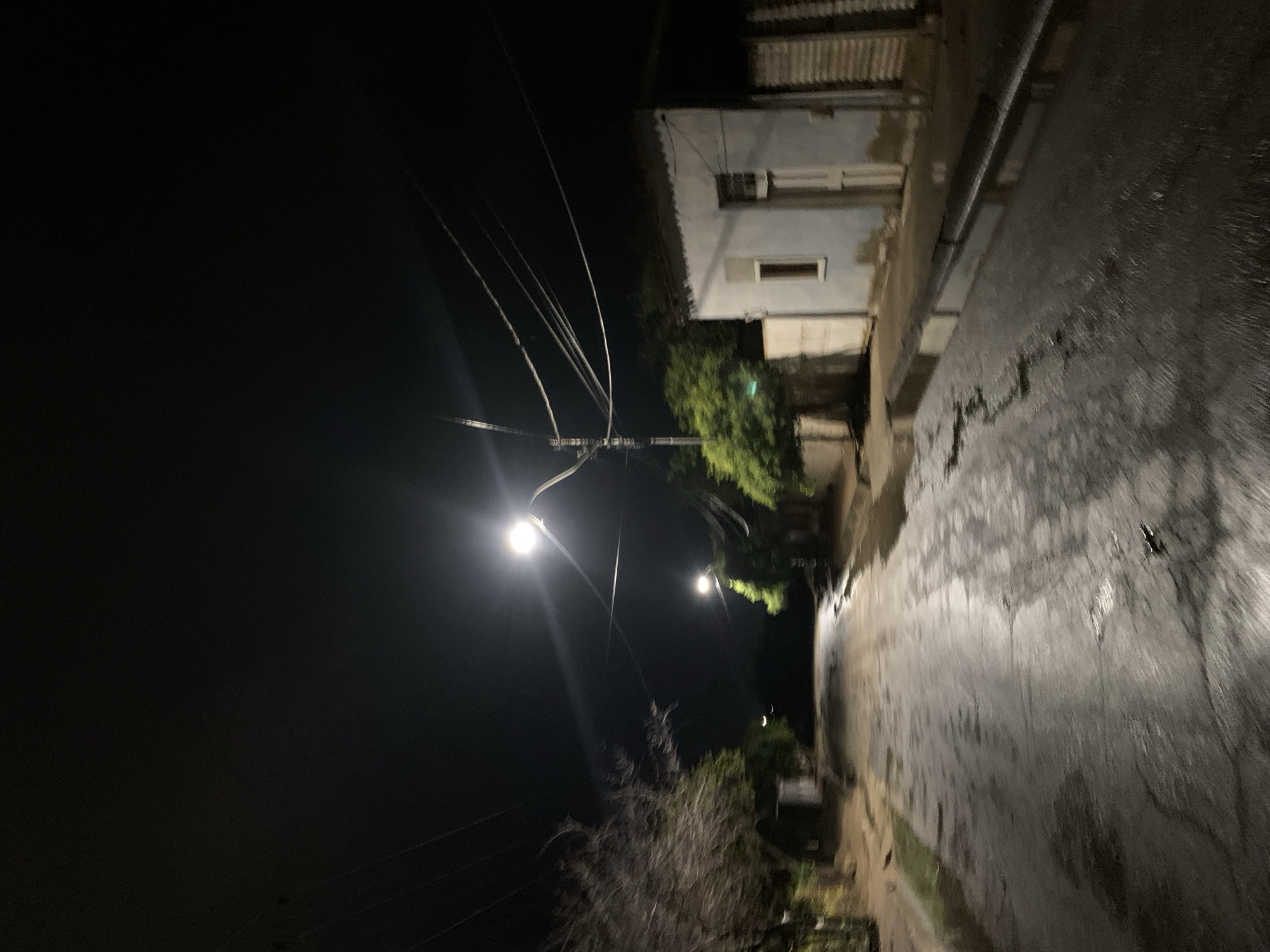 The image displays a deserted residential street in Altagracia, Venezuela, during nighttime. The asphalt pavement is wet, indicating recent rain or standing water, and prominently reflects the light from two streetlights positioned overhead. The primary streetlight is located in the mid-ground on the right, emitting a strong white light. A secondary, less intense light source is visible further down the street. On the right side of the road, a one-story, light-colored building with a window and a door is present, partially obscured by green foliage. A utility pole with multiple overhead wires runs along the right side of the street. On the left, a large, leafless tree stands in the foreground, with denser green vegetation behind it. The street recedes into the darkness, and no individuals, animals, or vehicles are visible.