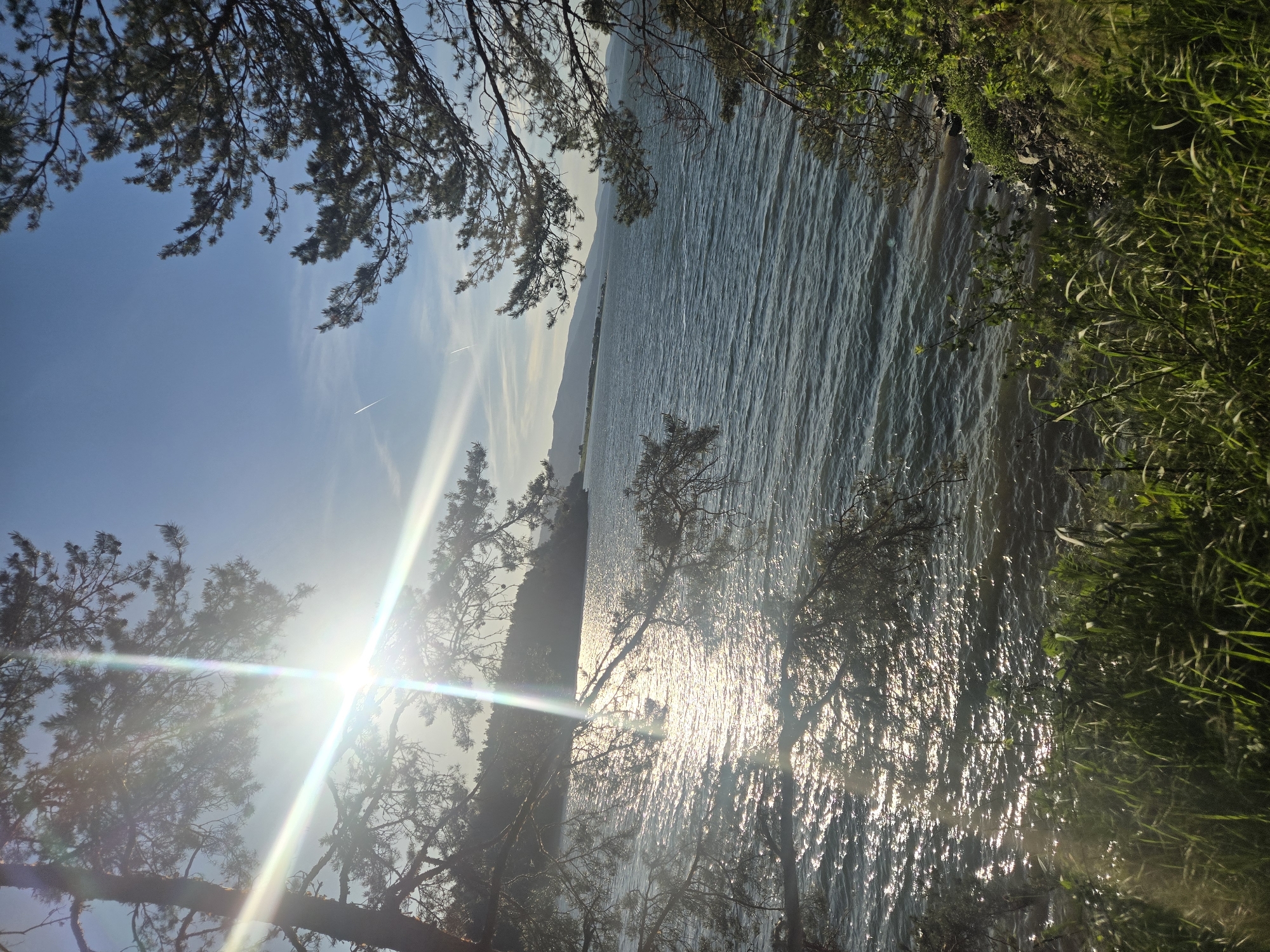 The image depicts a body of water, likely a lake, with sunlight reflecting on its surface. Tree branches frame the view from the top and bottom. On the right side, the shoreline is visible with green vegetation. The location is not specified in the information provided.