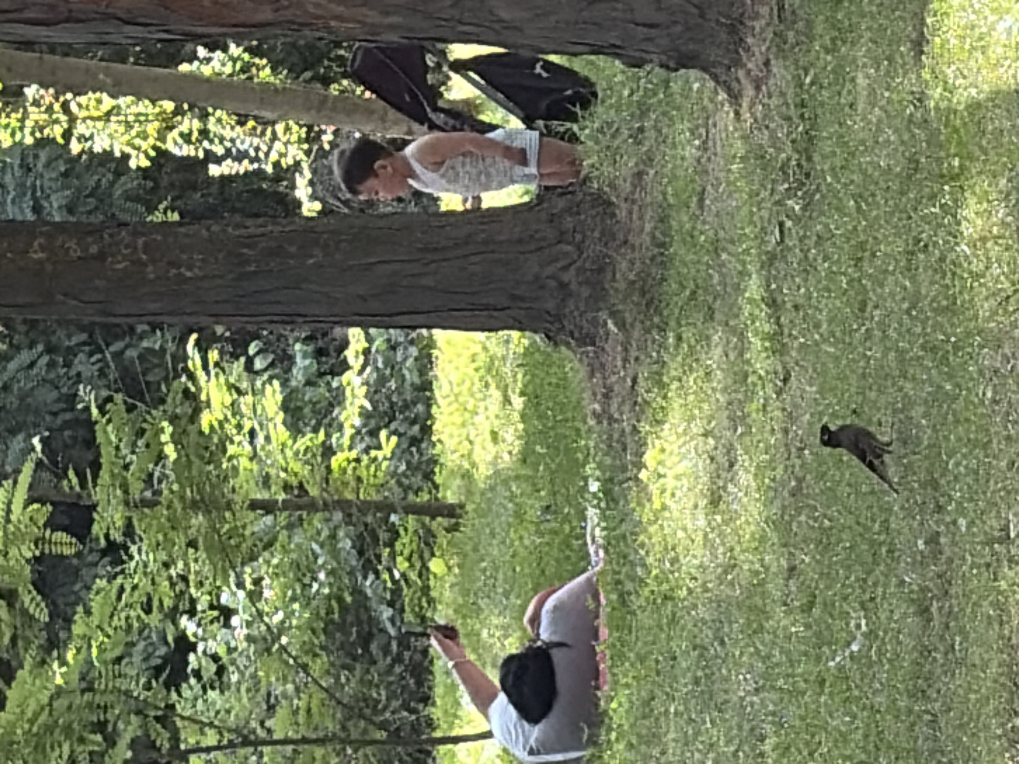 A young child in a tank top and diaper stands near a tree in a park. To the left, a person sits on the grass, holding up a phone, possibly taking a photo. A bird is on the grass in the foreground. The scene is set among trees and lush green grass.