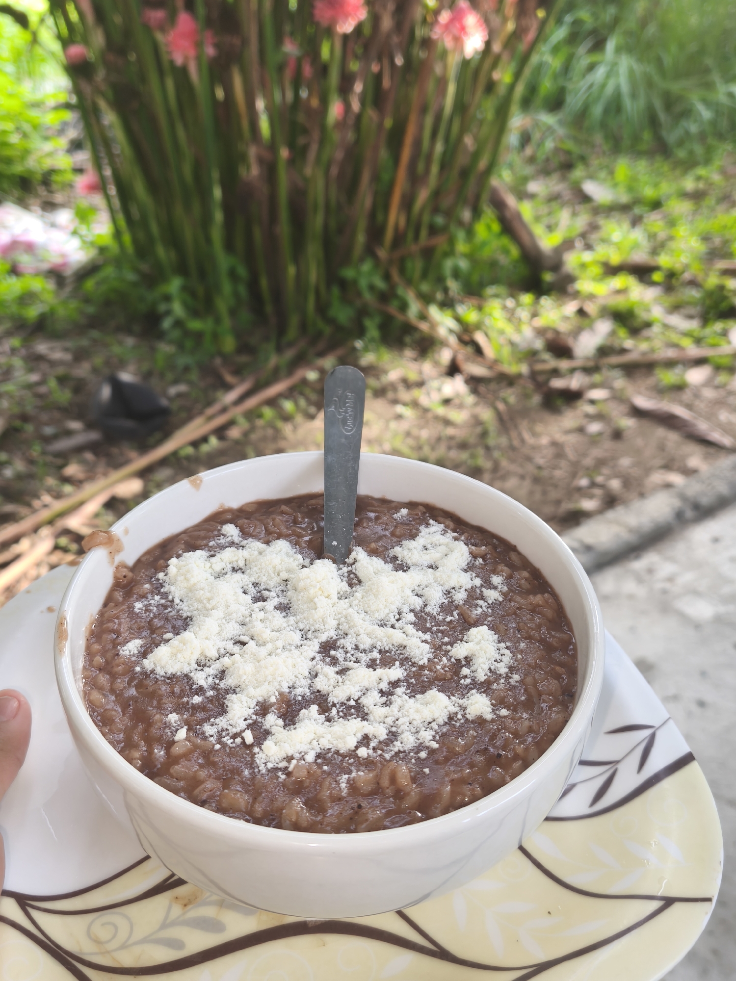 A close-up shot shows a bowl filled with a dark-colored, porridge-like food, topped with white, crumbled cheese. A metal spoon is inserted into the food. The bowl sits on a patterned plate. The background reveals a garden with green plants and a cluster of tall stems with pink flowers. The location appears to be outdoors.