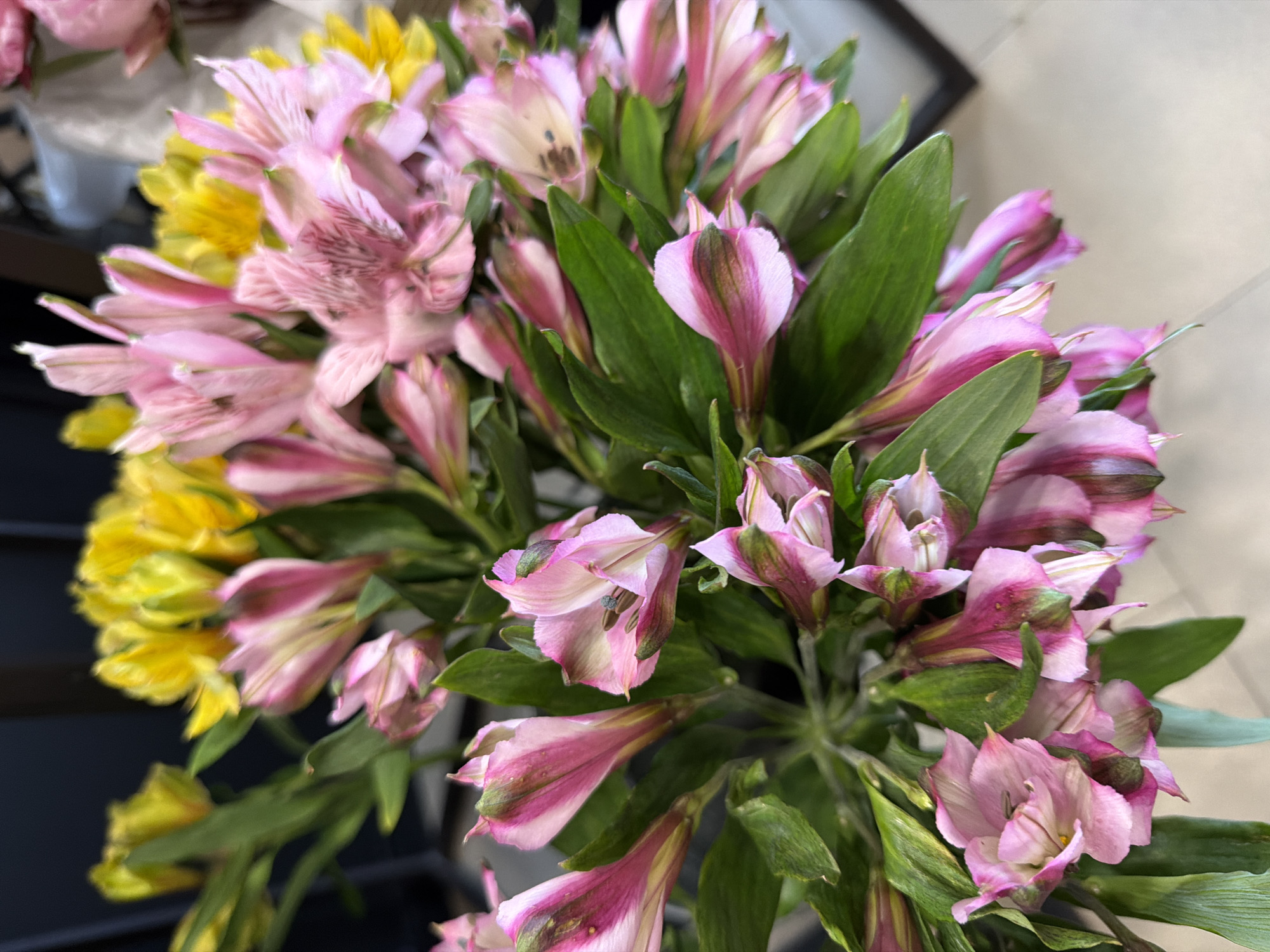 A close-up shot shows a bouquet of alstroemeria flowers, also known as Peruvian lilies. The bouquet contains a mix of pink and yellow blooms. The pink flowers have delicate petals with darker pink streaks and green accents. The yellow flowers are bright and cheerful, with a slightly ruffled appearance. Lush green leaves surround the flowers, adding depth and texture to the arrangement. The flowers are positioned in the foreground, filling most of the frame. The background is softly blurred, with hints of dark colors and possibly other floral arrangements. The lighting is soft and diffused, highlighting the natural beauty of the flowers. The image appears to have been taken indoors, possibly in a florist shop or a home setting.