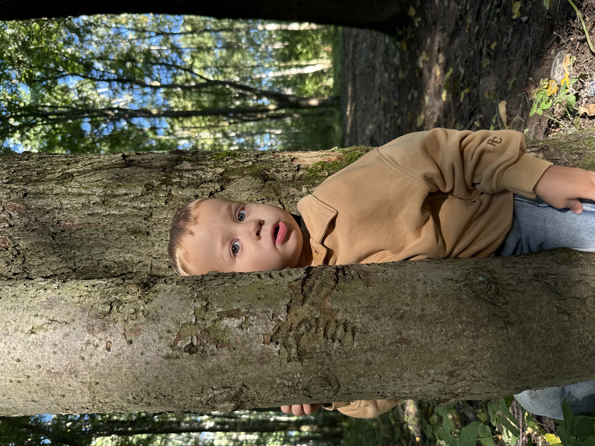 A young Caucasian boy with blonde hair and blue eyes peeks out from behind a tree trunk in a forest. He is wearing a light brown collared sweatshirt and blue jeans. The boy's left hand is visible, gripping the tree. The background shows a forest with trees, dappled sunlight, and a dirt path. The scene appears to be in or near Rusanovo, Russia.