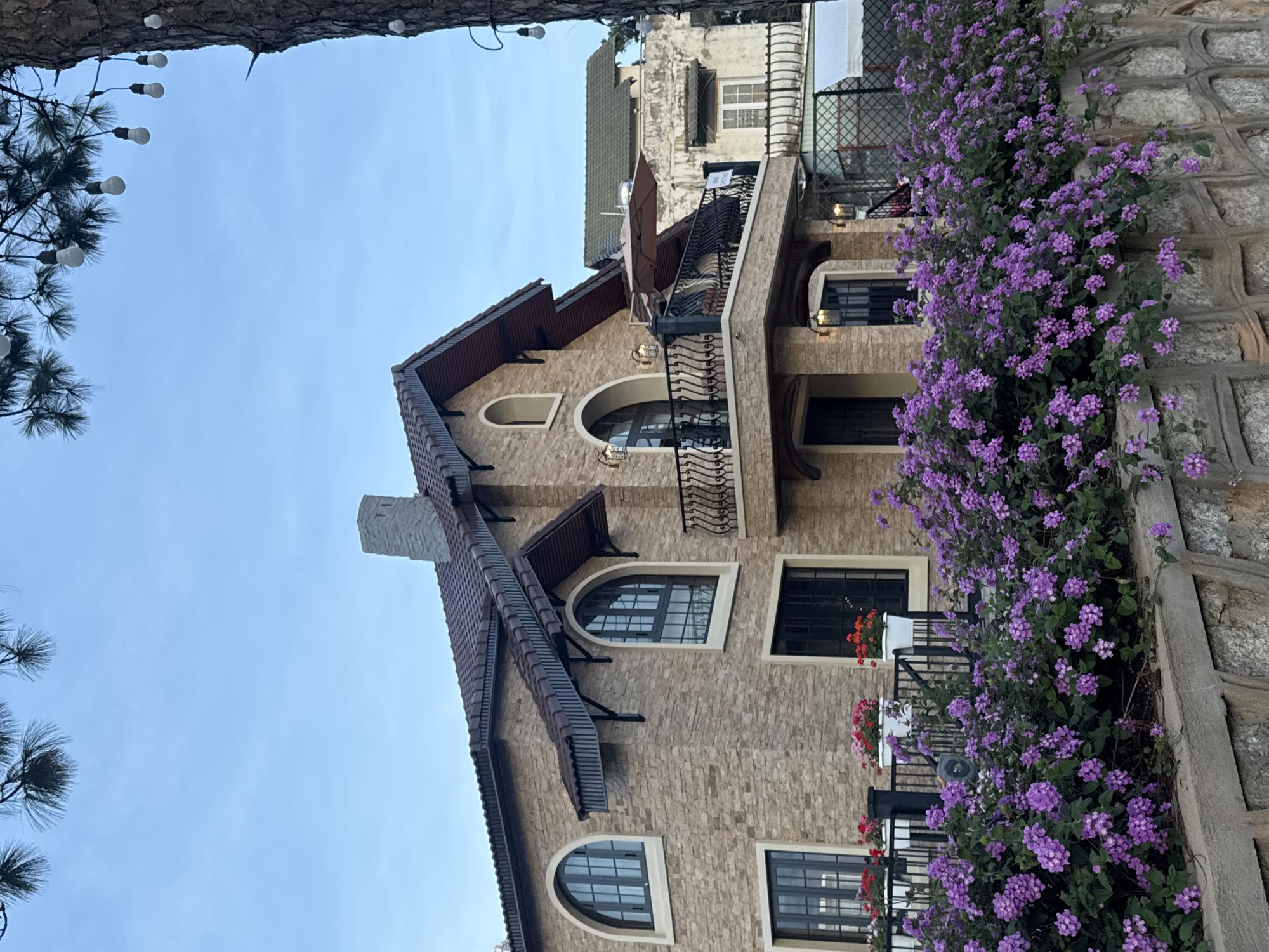 This detailed image captures a multi-story building in Xuân Trường - Đà Lạt, Vietnam, under a clear, pale blue sky. In the foreground, a dense, vibrant bed of small purple flowers, likely Lantana, grows atop a segmented grey stone retaining wall.
The central building features a light beige brick or stone veneer façade and a dark brown tiled roof with prominent eaves and decorative accents. Two large arched windows with dark frames are visible on the upper floor, flanking a central arched recess. Two rectangular windows with dark frames are present on the lower floor. An expansive, curved balcony on the upper level is secured by a black wrought-iron railing and supports an open brown patio umbrella. Below the balcony, an arched entryway or recessed area is visible. A stone chimney extends from the roofline on the left side of the structure. Multiple outdoor wall-mounted light fixtures illuminate the building's exterior.
To the far right, a portion of a tree trunk, consistent with a pine, is visible, adorned with a string of white decorative bulb lights. Pine needles are also discernible in the upper corners of the frame. In the background, behind and to the right of the central building, an older, lighter-colored structure with a distressed, peeling façade and a dark green roof is partially visible. This background building features a small rectangular window with white frames. A dark metal fence or lattice structure is positioned in front of the distressed building. There are no individuals present in the scene.