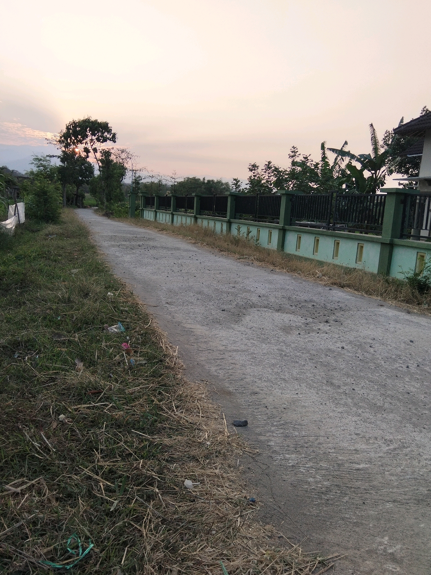 The image depicts a paved road in a rural area, likely on the outskirts of Jenangan, Indonesia, during the golden hour of sunset. The road, showing signs of wear and tear with scattered gravel and tire marks, curves gently towards the background. To the left of the road, overgrown grass and dry vegetation are visible, with scattered litter including plastic bags and wrappers. A white tarp is draped over a structure on the far left. A tall tree with sunlight filtering through its branches stands prominently near the road's left edge, silhouetted against the soft, pale sky.
On the right side of the road, a low, light green wall topped with a dark metal fence runs along the property line of a residential building. The building itself, partially visible, appears to be a house with a dark-tiled roof. Banana trees and other foliage are interspersed with the fence. The sky displays soft hues of orange and pink, indicative of a setting sun, with the light casting a warm glow over the scene. The overall impression is one of a quiet, possibly developing, residential area transitioning into evening.
