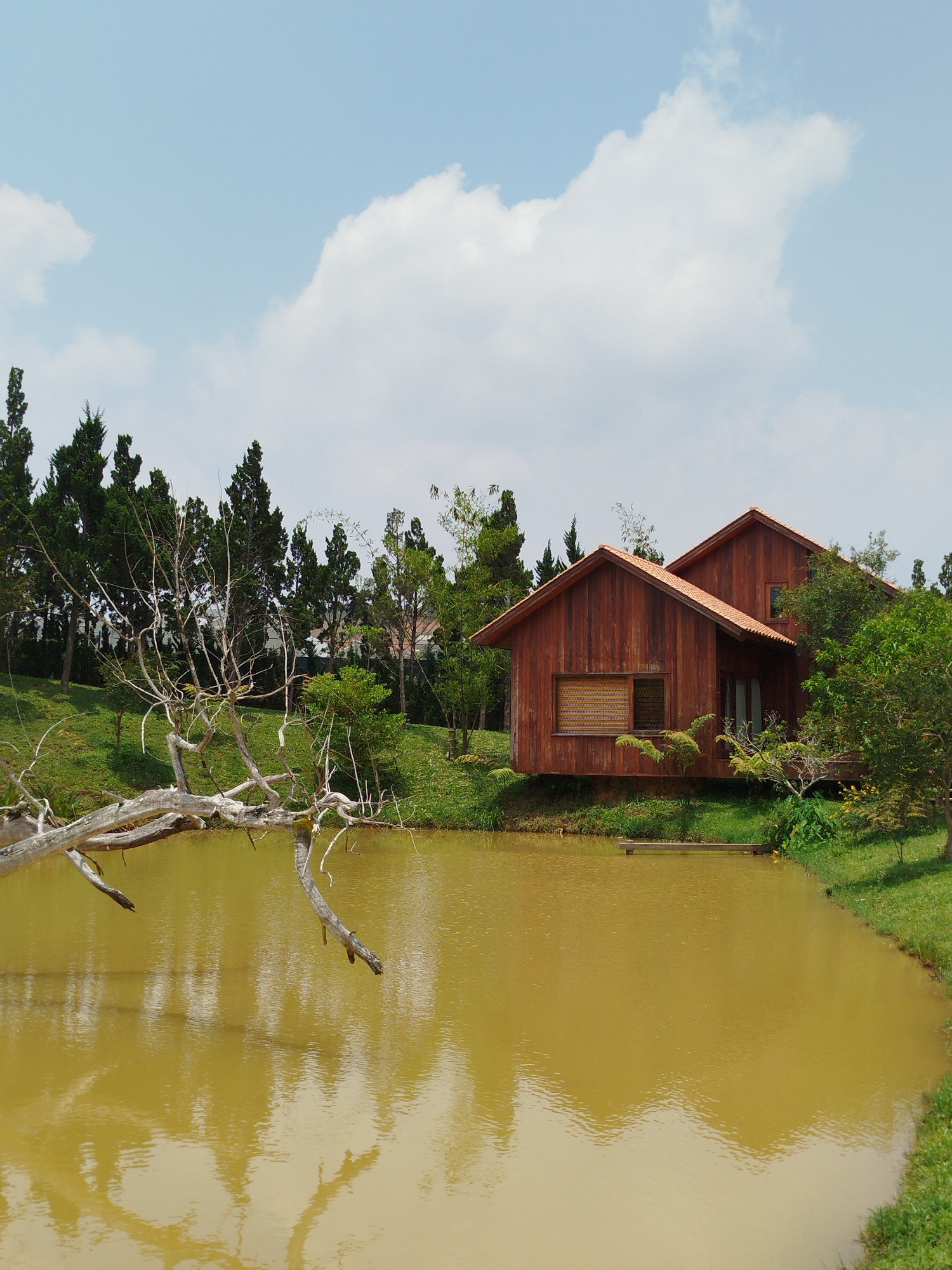 A serene landscape is captured on a partly cloudy day in Đa Nghịt 1, Vietnam. In the foreground, a body of water with a murky, yellow-brown hue dominates the scene, its surface reflecting the sky and surrounding elements. A large, leafless tree branch extends from the left into the water, adding a stark contrast to the tranquil scene. Behind the pond, a wooden cabin with two distinct rooflines stands elevated slightly on the grassy bank. Its windows are visible but mostly obscured. The building is surrounded by lush greenery, including trees and shrubs, with a dense line of taller evergreen trees forming the backdrop. The sky above is a mix of blue and scattered white clouds. The overall impression is one of rural calm and natural beauty.