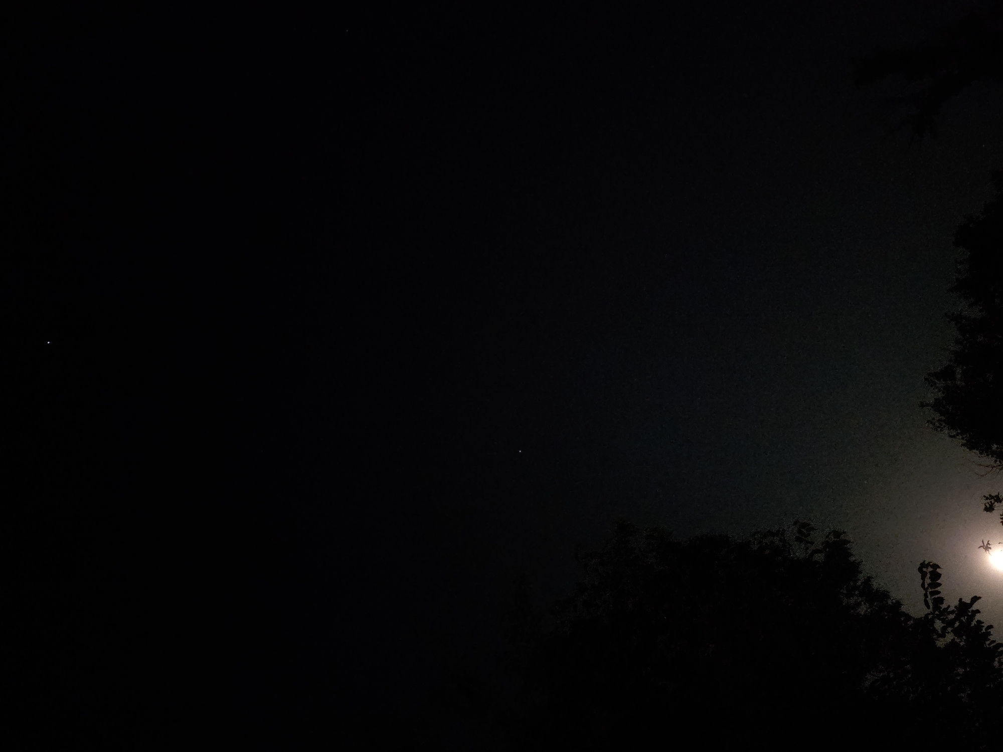 A night sky is visible, with two faint stars and a blurred bright light, possibly the moon, at the bottom of the frame. Silhouetted trees are on the left and right sides of the image, with some foliage visible on the left. The image is dark and grainy, suggesting it was taken with a low-light camera setting.