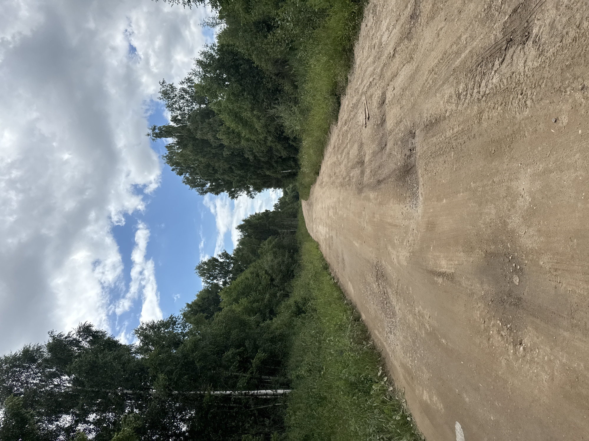 The image shows a dirt road winding through a dense forest. The road is unpaved and shows signs of wear and tear, with tire tracks and several potholes visible. The forest lining the road consists primarily of tall, deciduous trees with lush green foliage, suggesting a summer season. The sky above is partly cloudy, with patches of blue sky interspersed with large, white cumulus clouds. The overall scene conveys a sense of natural, undeveloped landscape. The location is specified as a road in the vicinity of Krasnoye, Russia.