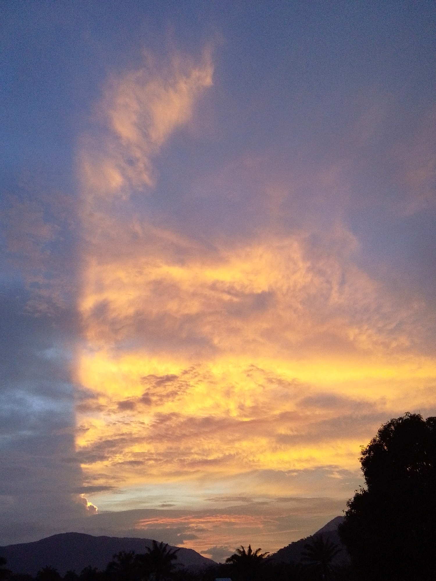 This image depicts a sky filled with dramatic clouds during what appears to be sunset. The clouds on the right side of the frame are illuminated with vibrant shades of orange and yellow, suggesting direct sunlight. Towards the left, the clouds are darker, appearing more gray and blue, possibly indicating shadow or the transition from daylight to dusk. A distinct vertical line separates the brightly lit clouds from the darker ones, creating a strong visual contrast.
The lower portion of the image shows a silhouetted landscape. A range of dark, undulating hills or mountains forms the horizon. In the foreground, silhouetted trees and vegetation are visible, including what appear to be palm trees on the left and a large, dense tree on the right. The overall impression is a natural landscape scene, likely taken outdoors at a time of day with intense atmospheric lighting. No people, objects, or specific actions are discernible in the image. The scene is consistent with a view over a natural or semi-rural area.