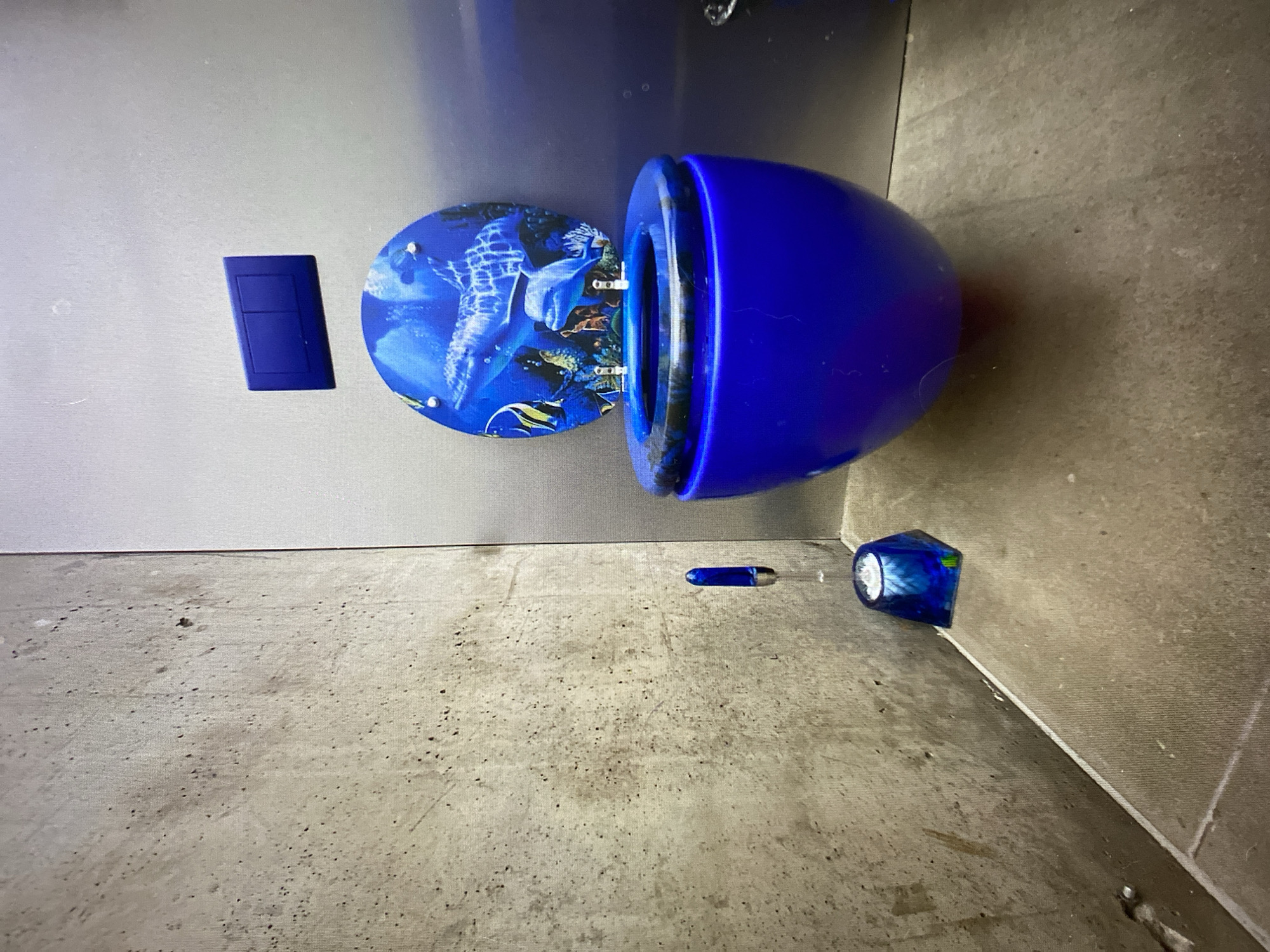 The image shows a blue toilet with a dolphin-themed toilet seat, located in a restroom in Khimki, Russia. The toilet is positioned in the corner of the room, with a textured concrete wall to its left and a smooth, metallic wall behind it. A blue toilet brush holder is visible to the left of the toilet. A blue flush plate is mounted on the metallic wall above the toilet seat. The floor is tiled with a neutral-colored tile. The overall impression is that of a modern, somewhat decorated restroom.