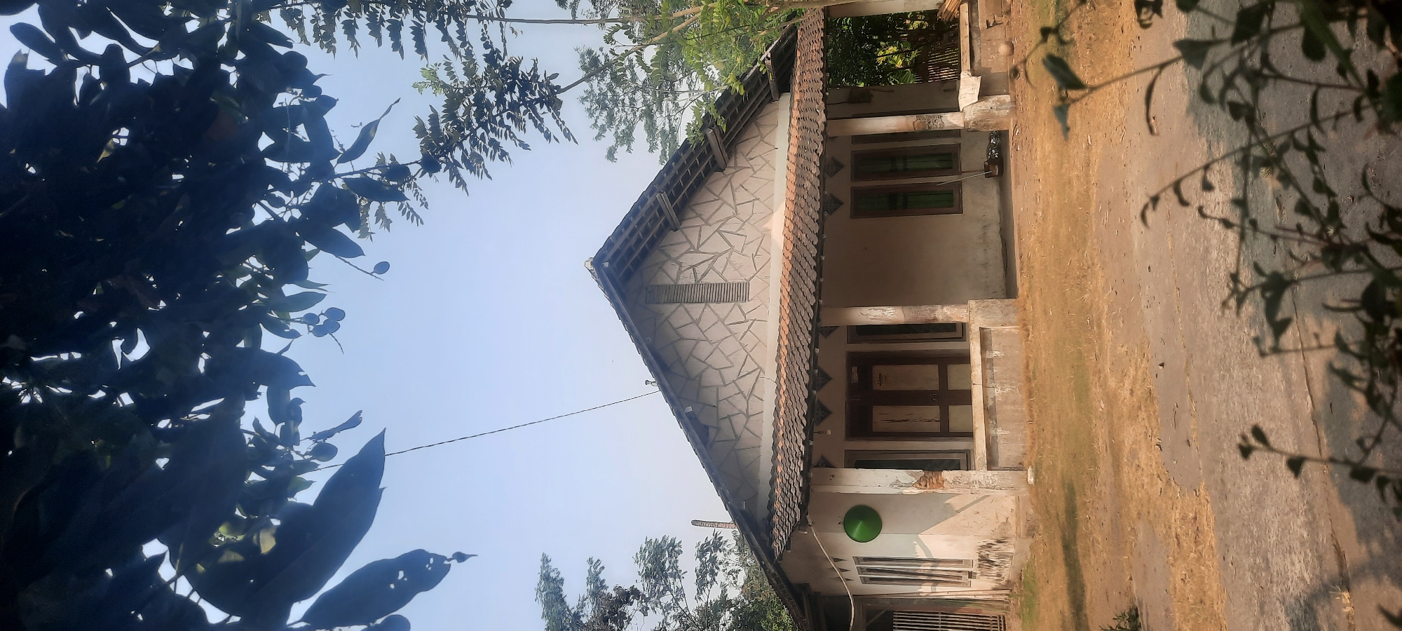 This is a photograph of a modest, single-story house situated in a rural or suburban area, likely in Ploso, Indonesia. The house has a simple, gabled roof covered with terracotta tiles. The front facade is characterized by a covered porch supported by square columns. The walls appear to be made of stucco or plaster, showing signs of age and possibly some wear and tear. The upper part of the gable is decorated with a pattern of irregular, light-colored stone or tile.
In front of the house, the ground is covered in dry, yellowish-brown grass and dirt, indicative of a dry season or unmaintained yard. There is a concrete walkway leading to the porch. To the left of the porch, a bright green, round object, possibly a decorative element or a hanging planter, is attached to the wall. The windows are tall and narrow with dark frames, and the main entrance features a double door, also with dark frames.
The house is framed by lush green foliage from trees, with branches and leaves hanging into the top portion of the image, casting shadows. The sky is a pale blue, suggesting daytime. The overall impression is one of a quiet, lived-in dwelling in a natural, possibly somewhat neglected, setting.