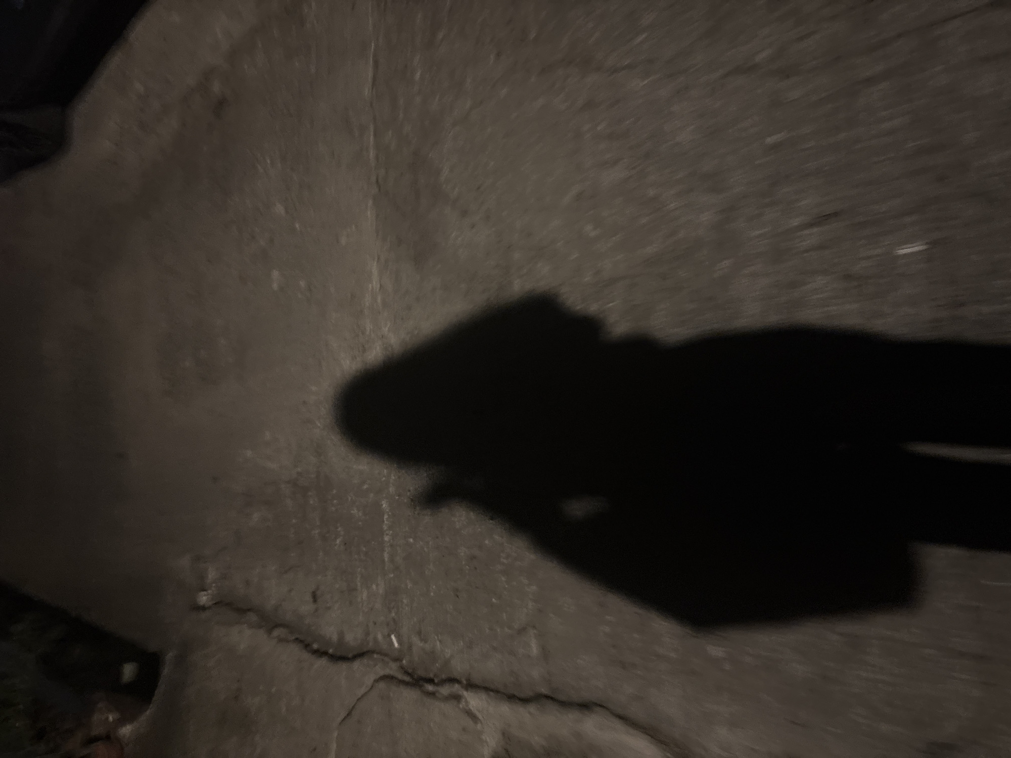 A shadow of a person is cast on a concrete surface. The shadow depicts a figure with long hair, holding a bag in their left hand. The concrete surface appears to be a pathway or road with visible cracks. The lighting suggests it is nighttime or an area with low illumination. The scene is likely outdoors in a city environment, possibly within Davao City, Philippines, given the provided context. The concrete texture is rough and mottled, with some debris or variations in color adding to its worn appearance. The shadow's edges are soft, indicating diffuse light.