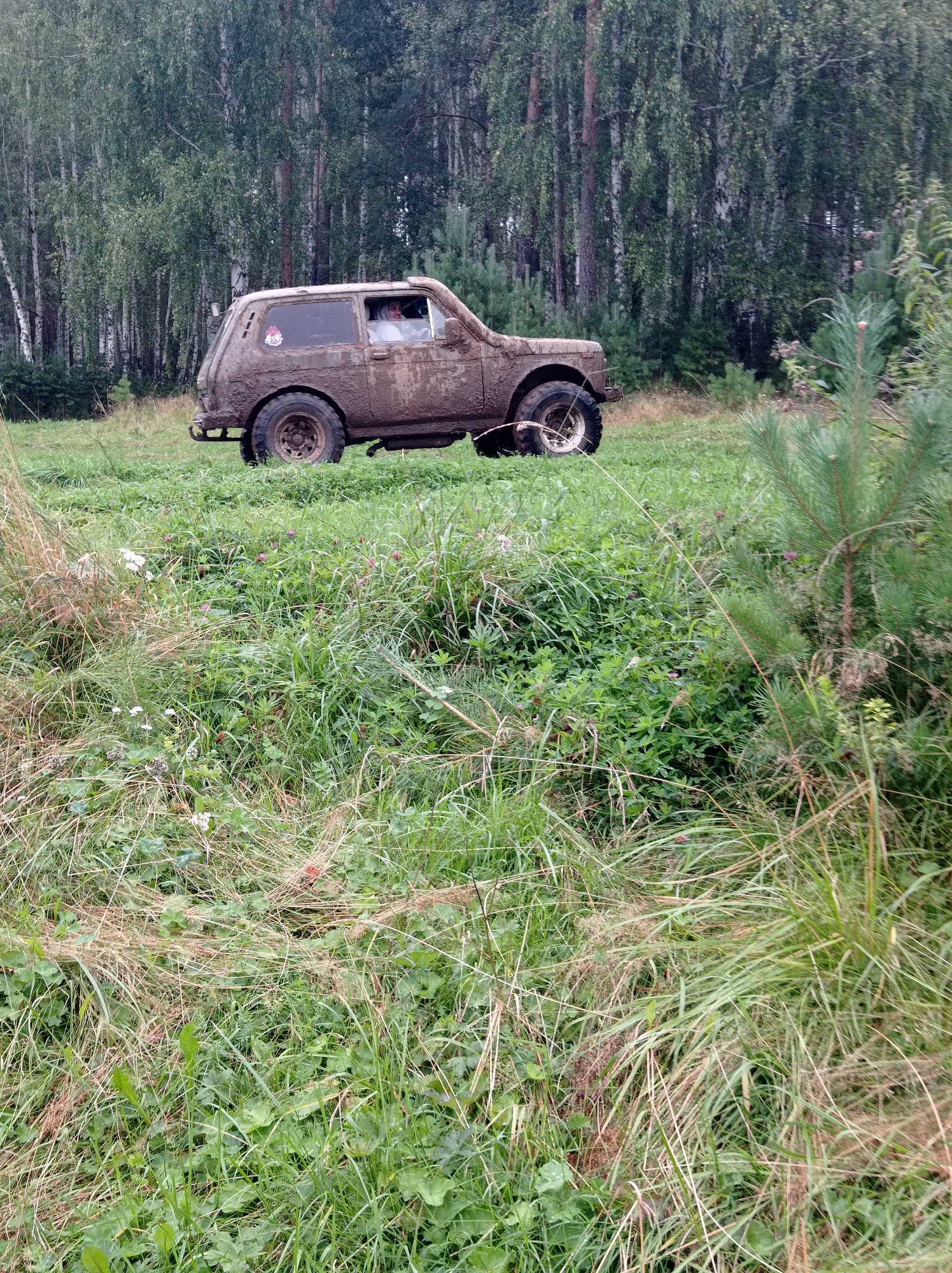 A muddy, light-colored SUV is parked on a grassy incline, facing right, with a dense forest of birch and pine trees in the background. The vehicle appears to be off-road, with mud caked on its body and windows. A person can be seen inside the SUV, behind the driver's side window. The foreground is filled with tall, green grass, some of which is dry and brown, with scattered wildflowers. The scene is likely from an outdoor recreational area, possibly near the city of Degtyarsk, Russia, given the context provided. The overall impression is one of an adventurous outing in a natural, possibly remote, setting.