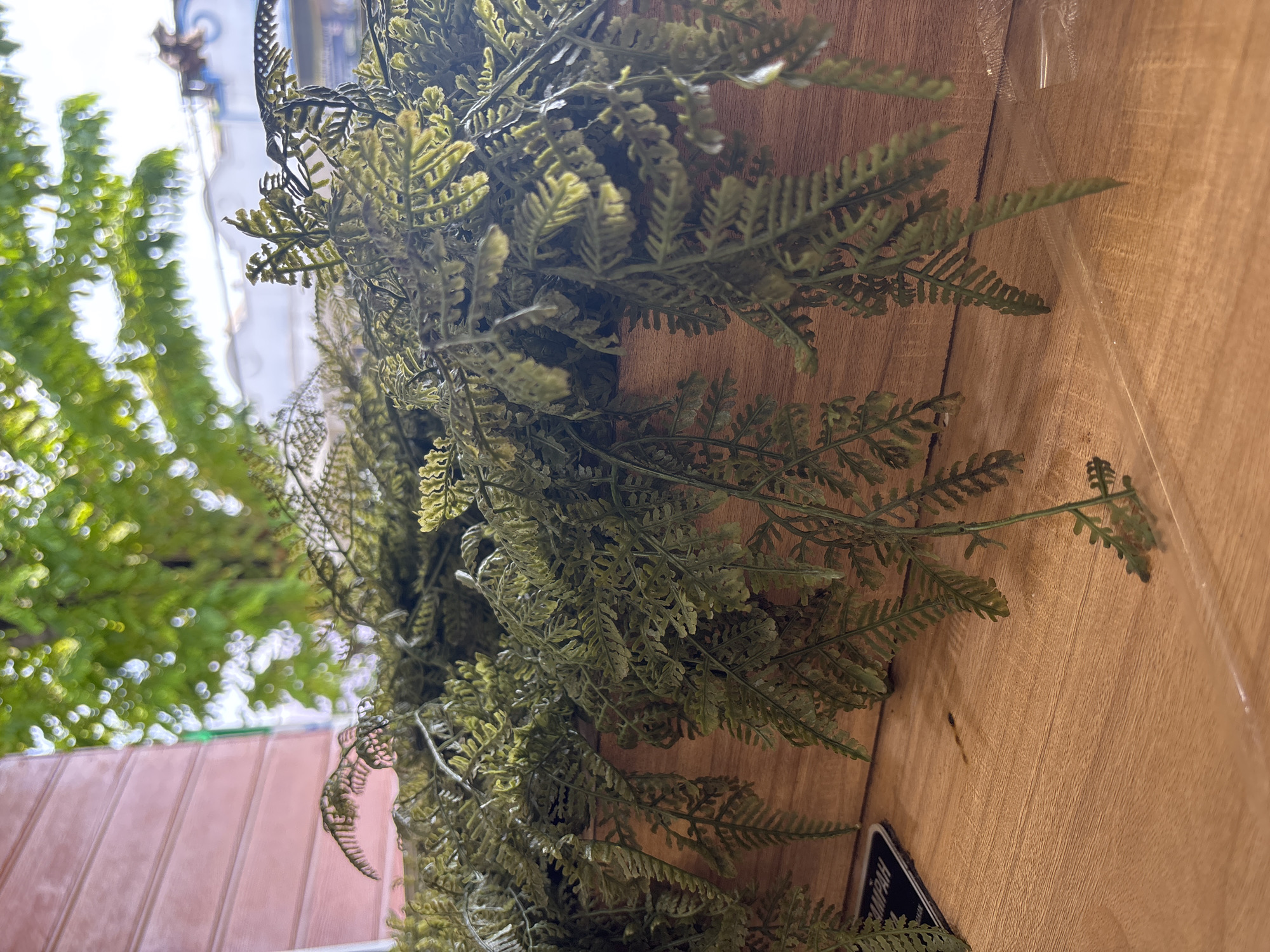 The image depicts a close-up view of artificial ferns cascading from a wooden planter box. The planter box rests on a wooden surface, likely a table or shelf. In the background, out-of-focus greenery suggests outdoor foliage, possibly trees. To the left, a pink, slatted wall is visible. A small black sign with white lettering, partially obscured, is on the wooden surface to the left of the planter. The scene appears to be indoors, near a window or opening, with soft lighting. The composition focuses on the texture and detail of the artificial plants and the wood. There are no people or animals present in the image. This scene could be found in various locations within East Jakarta, Indonesia, such as a cafe, restaurant, or indoor garden space.