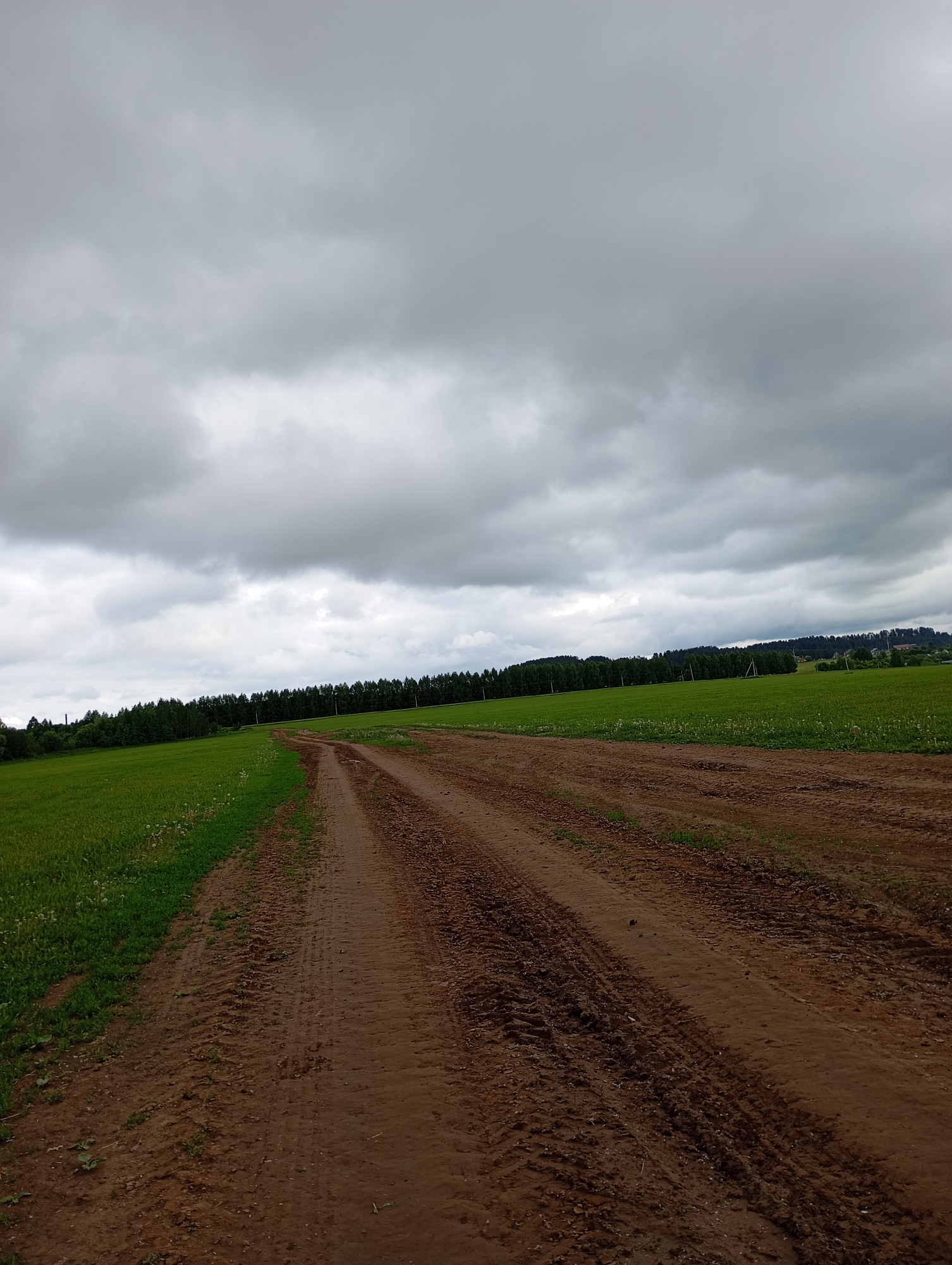 The image displays a rural landscape situated in Фоки, Russia, under an overcast sky filled with dense, medium-grey clouds. A prominent reddish-brown dirt road, marked with numerous tire tracks and some apparent mud, traverses the scene, starting in the lower foreground and extending into the midground before curving towards the left and fading into the distance. Lush green fields with scattered white flora, possibly dandelions, border both sides of the road. A dense, dark green treeline or forest runs horizontally across the midground, separating the immediate fields from the distant horizon. Several slender, white utility poles are visible at regular intervals along the base of this treeline, suggesting power lines. In the far background to the left, a tall, dark, slender industrial structure, possibly a chimney or tower, rises above the treeline. To the far right in the background, faint outlines of structures consistent with a distant settlement or village are discernible. No people, animals, or active subjects are present in the scene.