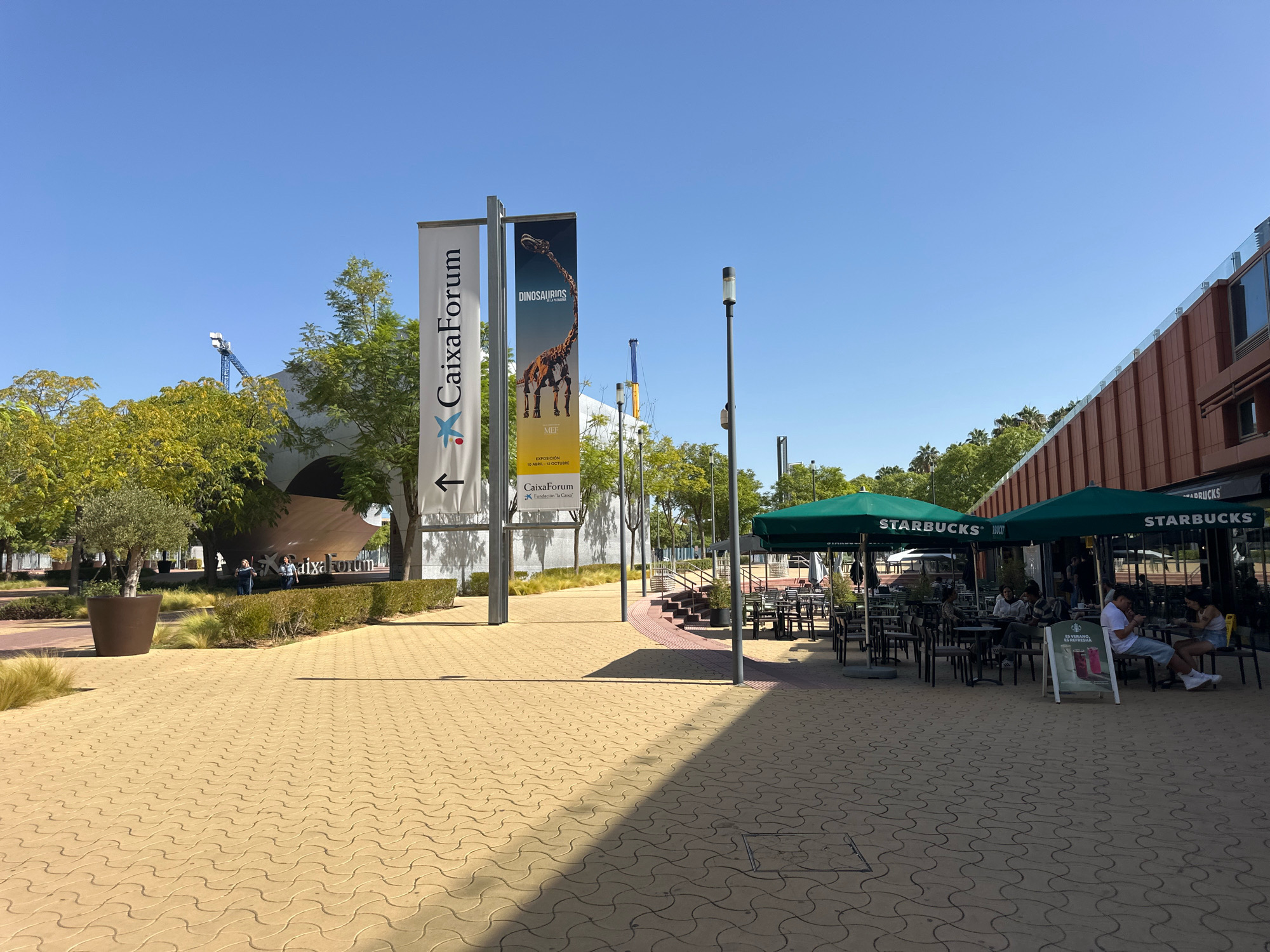 The image depicts an outdoor scene in Seville, Spain, likely at an exhibition center or cultural complex. In the foreground, a tan-colored patterned pavement extends across the frame, with a shadow of a light pole cast diagonally across it from the right. To the left, a large dark brown planter with a sparse olive tree sits beside a manicured hedge. Behind the hedge, a modern, curved building with a white facade and the "CaixaForum" logo is visible. Two individuals stand near the building, facing away from the camera.
Dominating the center of the image are two tall banners hanging from poles. The left banner is white with blue text and a logo that reads "CaixaForum" and "Fundación 'la Caixa'," with an arrow pointing left. The right banner is dark blue and features an illustration of a dinosaur skeleton and text indicating an exhibition titled "DINOSAURIOS" running from "10 ABRIL - 12 OCTUBRE." Further back, a blue construction crane is visible against a clear blue sky.
To the right of the banners, a Starbucks coffee shop is situated. Green umbrellas with the Starbucks logo shade outdoor seating areas with numerous tables and chairs. Several patrons are seated at the tables, some engaged in conversation, others looking at their phones. A man in a white t-shirt and light shorts is seated at a table on the right, looking at his phone. Beside him, a woman in a light-colored top and shorts is also seated and appears to be interacting with him. A sandwich board advertising drinks is placed in front of the Starbucks. The background consists of more trees and modern architecture.