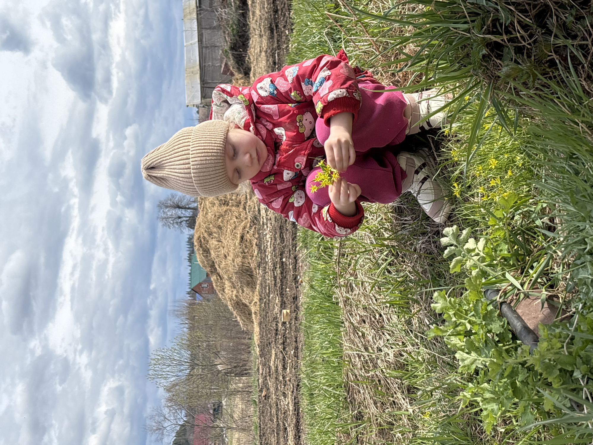 This outdoor, eye-level shot captures a young child intently focused on a bunch of yellow flowers. The image, seemingly rotated 90 degrees clockwise, portrays a bright, overcast day in a rural or semi-rural setting, specifically Lukintsy, Russia.
The central subject is a toddler, dressed for cool weather in a beige knitted beanie, a red patterned jacket featuring various cartoon characters, including identifiable Hello Kitty designs, and possibly the text "Love" or "Ever Love." They are also wearing maroon pants and beige and white shoes. The child is crouched low to the ground, holding small yellow flowers in both hands, their gaze directed downwards, indicating engagement with the blossoms.
The immediate surroundings consist of fresh green grass and patches of drier, lighter-colored grass and weeds, with more small yellow flowers scattered throughout. To the child's left (in a correctly oriented view), the ground is a tilled, dark brown earth patch. A large, mounded pile of dried hay or straw dominates the mid-ground. Further back, under a bright, cloudy sky, are sparse trees, some bare and others with budding leaves, along with faint outlines of rural buildings, one featuring a green roof and another a red roof. A small brown box lies on the tilled ground. In the bottom right corner, a black pipe or hose is partially visible amongst dense green foliage.
The scene conveys a sense of peaceful exploration and a child's natural curiosity amidst an agricultural landscape. The diffused light from the overcast sky creates soft shadows, enhancing the calm atmosphere.