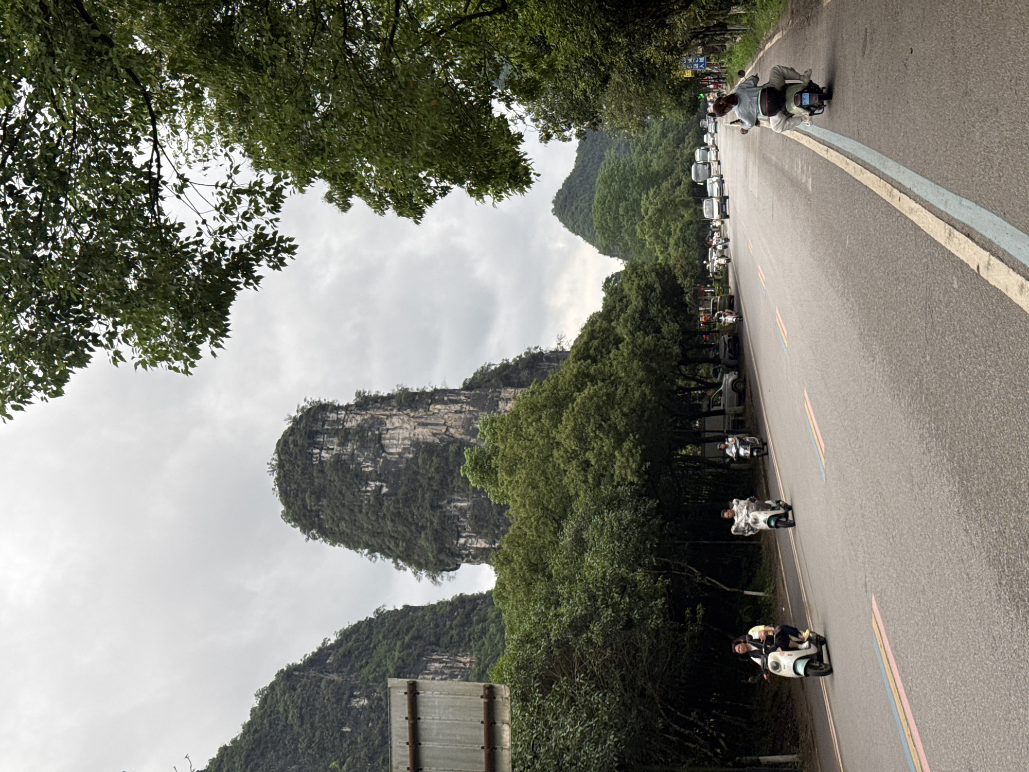 A roadside view in Guilin, China, shows a paved road with multiple scooters traveling along it. Two visible scooters carry two passengers each, and another has one rider. The road has a white and blue line separating the driving lane from the roadside. Additional lanes of parked scooters line the road adjacent to a forested area. Overhead, the branches and leaves of trees create a canopy. In the background, tall, rocky mountains are visible, reaching into a cloudy sky.
