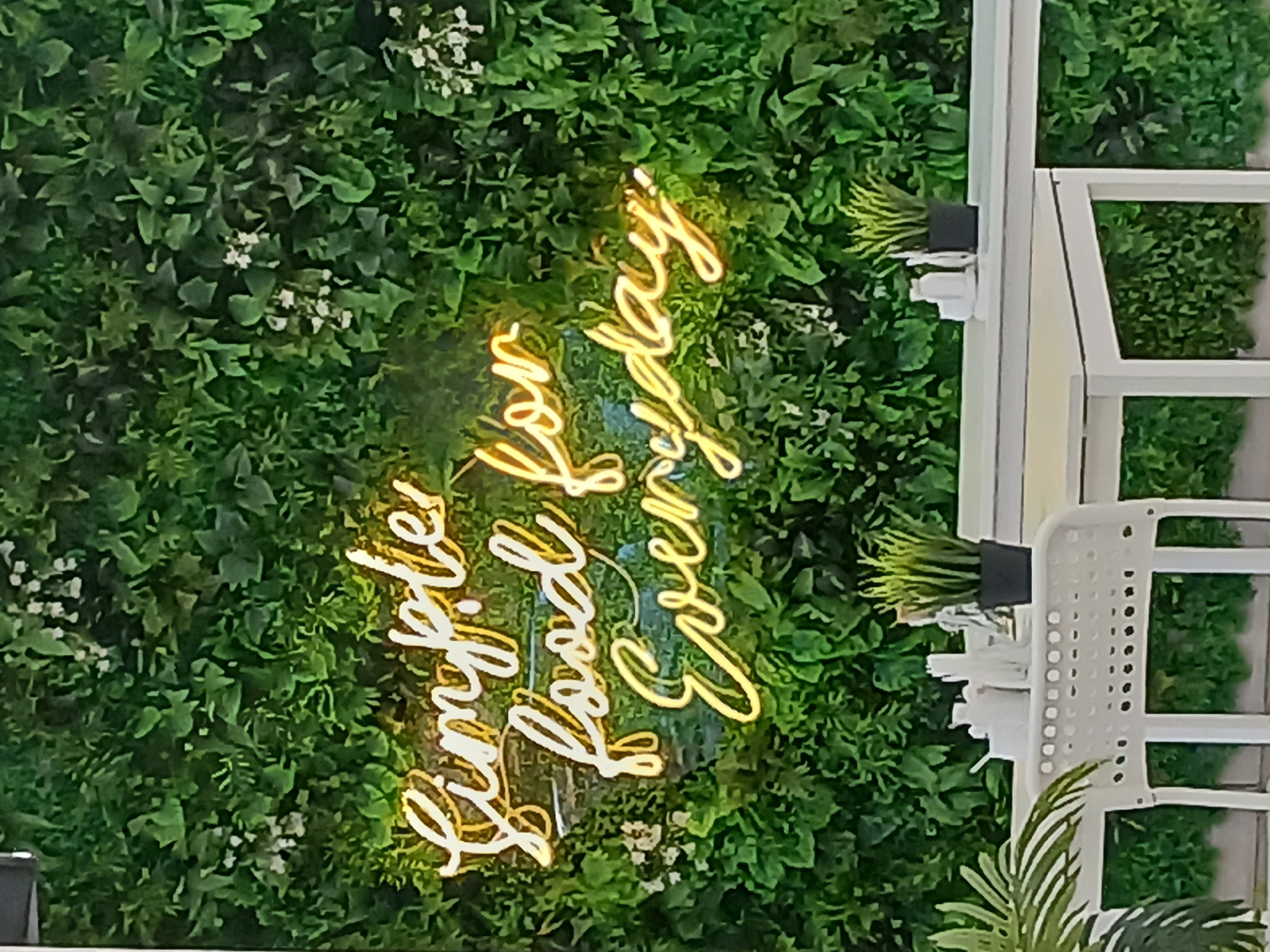 The image shows a decorative wall with green foliage featuring a neon sign that reads "Simple Food for Everyday". Beside the wall is a white, modern-style chair and table arrangement, indicating a possible cafe or restaurant setting. There are small potted plants on the table, adding to the natural ambiance. The specific location within the city of Unknown, Unknown is not discernible from the image.