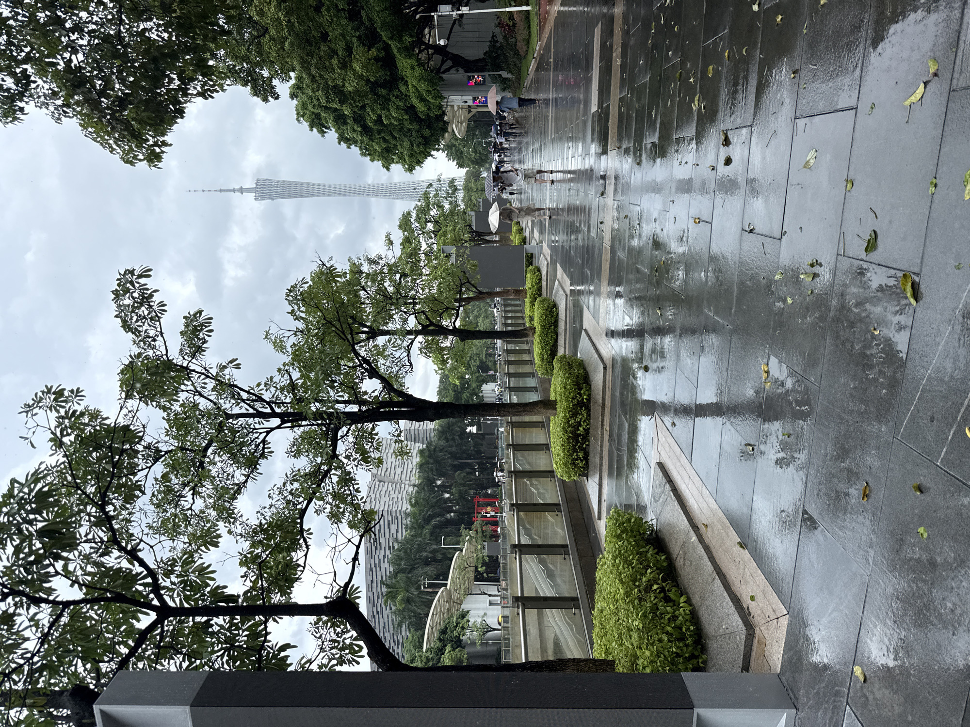 In Tianhe District, China, on a rainy day, a wide, wet, paved walkway runs diagonally from the foreground to the background. The walkway is lined with trees on both sides, their leaves green and wet, and some fallen leaves are scattered on the pavement. Several people are walking along the path, most of them holding umbrellas, indicating light to moderate rain. In the distance, a distinctive, tall, lattice-like tower, likely the Canton Tower, is visible against a cloudy sky. To the left of the walkway, there is a slightly sunken area with glass barriers, and beyond that, a modern building with a distinctive striped facade. To the right of the walkway, trees continue, and the pavement extends towards more urban structures. The overall scene depicts a public urban space in the midst of a rain shower.