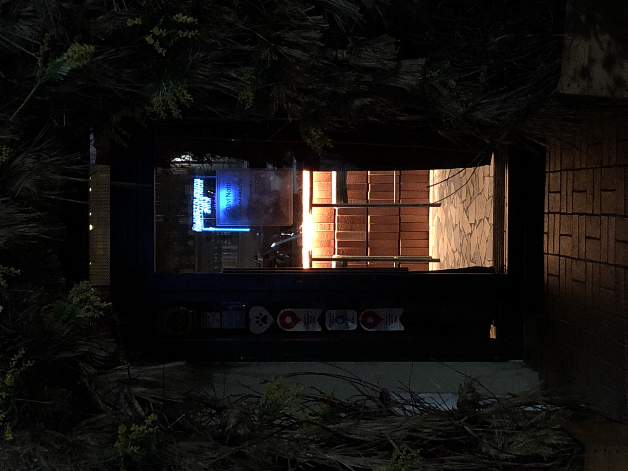 The image depicts the entrance to a establishment at night. The entrance is framed by dense, dry vegetation. Through the open doorway, a brightly lit interior can be seen, featuring a bar with brick-patterned cladding and stools. A blue neon sign with Cyrillic text is visible on the left side of the doorway. The ground outside the entrance is paved with brickwork. The scene suggests a dimly lit, urban environment in Saint Petersburg, Russia, possibly a bar or restaurant.