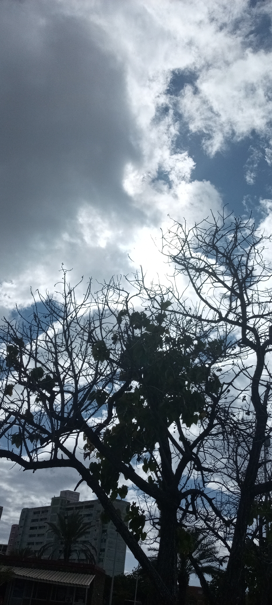 The image shows a partially cloudy sky with trees in the foreground. Some of the trees are bare, while others have leaves. A building is visible in the lower left corner. The location appears to be an urban environment.