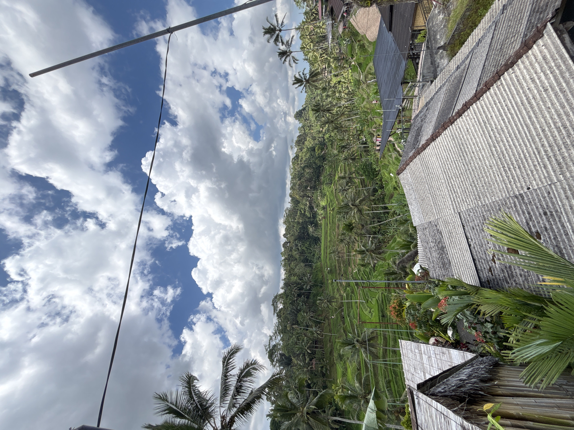 The image depicts a landscape scene in Tegallalang, Indonesia. In the foreground, there are corrugated metal roofs and dense foliage with palm trees. Beyond the structures, there is a terraced rice paddy field, surrounded by lush vegetation and palm trees. Overhead, the sky is filled with cumulus clouds, with blue patches visible. A metal pole and powerlines are visible on the left-hand side.