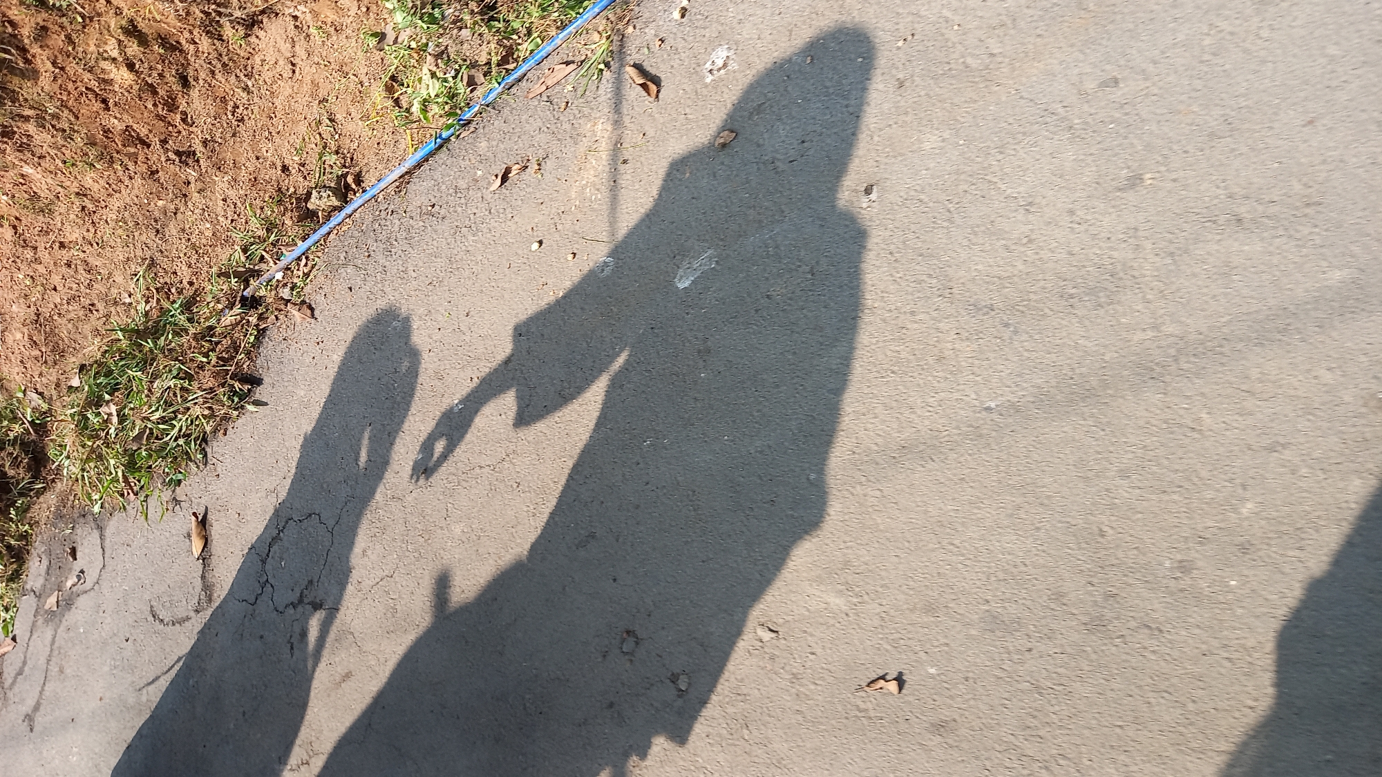 A shadow of a person holding a shovel is cast on a paved road in Leuwisadeng, Indonesia. The shovel's shadow is clearly defined, with the blade and handle visible. A smaller shadow, likely from another person, is also present, with what appears to be a hand raised. The road is cracked and appears to be an outdoor setting, possibly a park or a less-trafficked street, given the adjacent dirt embankment with sparse grass and dry leaves. A blue hose or cable runs along the edge of the embankment. The lighting suggests it is daytime, with the sun casting long shadows.