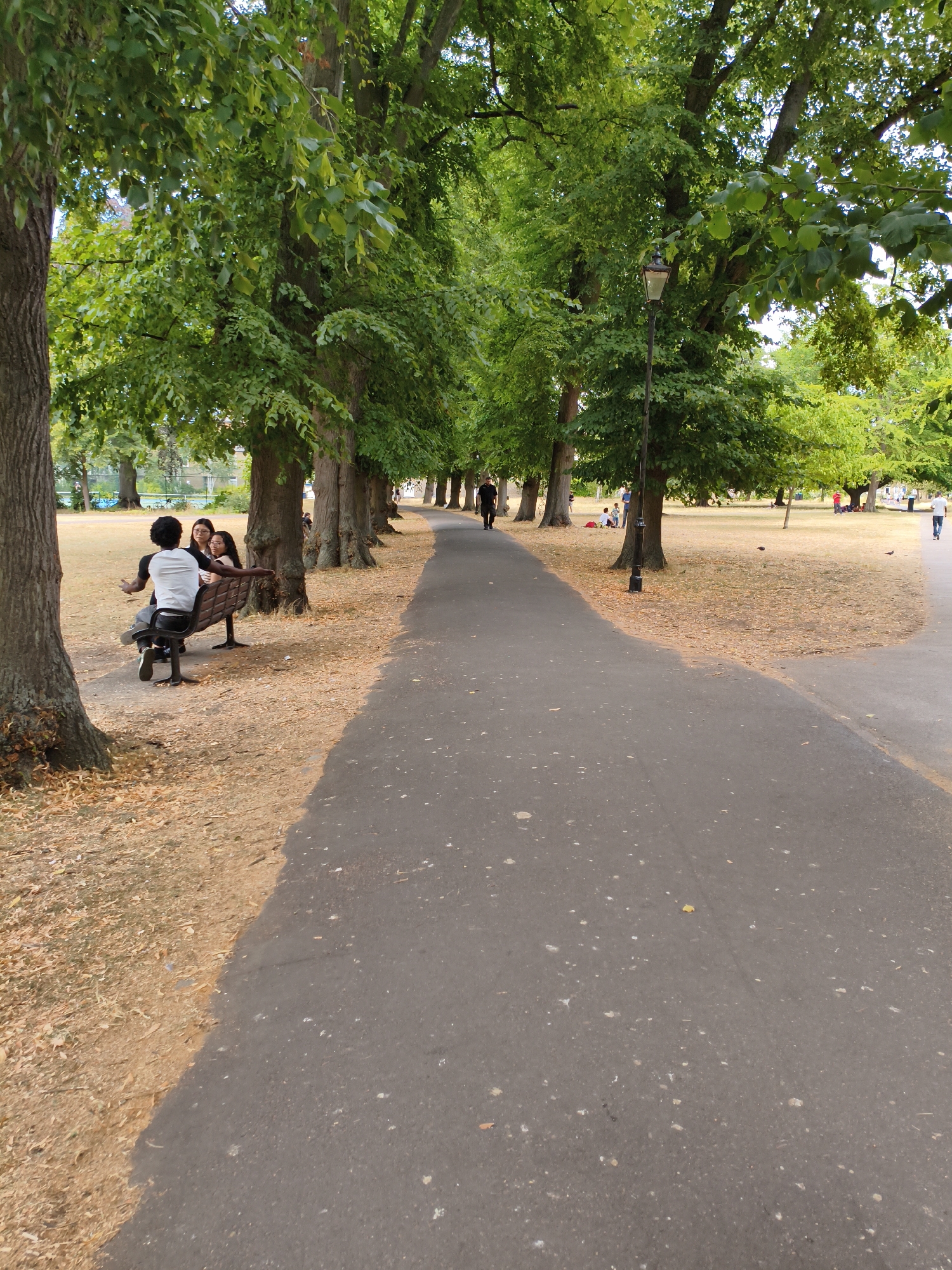 The image shows a park scene with a paved path running through it. On the left side of the path, there are several large trees with green foliage. A park bench is situated beneath one of these trees, with three people sitting on it. One person in a white t-shirt and black pants is facing away from the camera, while two others, one in a black shirt and glasses and another in a patterned top, are facing towards the camera. The ground around the bench and beneath the trees is covered with dry leaves and some grass.
Further into the park, more trees are visible, and the area appears to be a grassy field with scattered individuals. A lamppost stands near the path, and a single person is walking away from the camera on the path. In the background, buildings can be seen through the trees. On the right side of the path, the pavement continues, and the park extends into the distance with more trees and open grassy areas.
The scene suggests a casual day in a public park, possibly in the city of Cambridge, United Kingdom, given the typical appearance of parks and urban greenery found in such locations. The lighting indicates it is daytime.