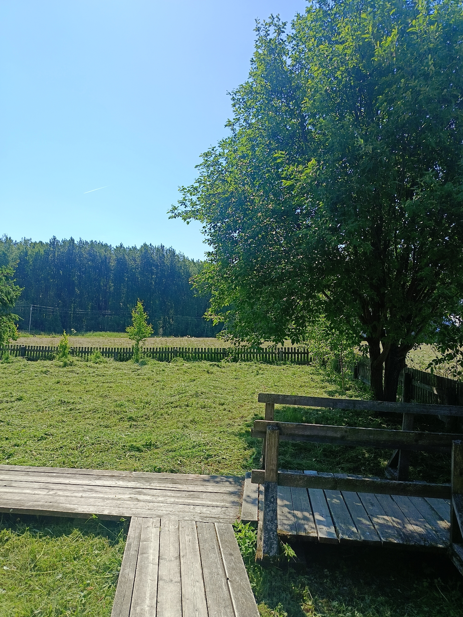 This is an outdoor, eye-level, landscape photograph taken on a clear, sunny day. The foreground features a wooden boardwalk constructed from weathered planks. To the right of the boardwalk, a wooden railing is visible, with shadows from a tree falling upon it. Behind the railing, a large, mature tree with dense green foliage dominates the right side of the frame.
The middle ground consists of a neatly mown grassy field, with the cut grass lying in swathes. A rustic wooden fence runs horizontally across the field, separating it from a further area. Beyond the fence, two small, newly planted trees are visible. In the distance, a dense line of tall, mature trees forms a dark green backdrop, suggesting a forest or extensive woodland. Power lines can be seen running horizontally in front of this distant tree line.
The sky is a pale blue, with a thin, white contrail from an aircraft visible high up on the left side.
The location is identified as Popovka, Russia. The scene depicts a rural or semi-rural setting, possibly a park, a private property with extensive grounds, or a nature reserve. There are no people or animals visible in the image. The overall atmosphere is peaceful and serene, characterized by the natural elements and the bright, clear weather.