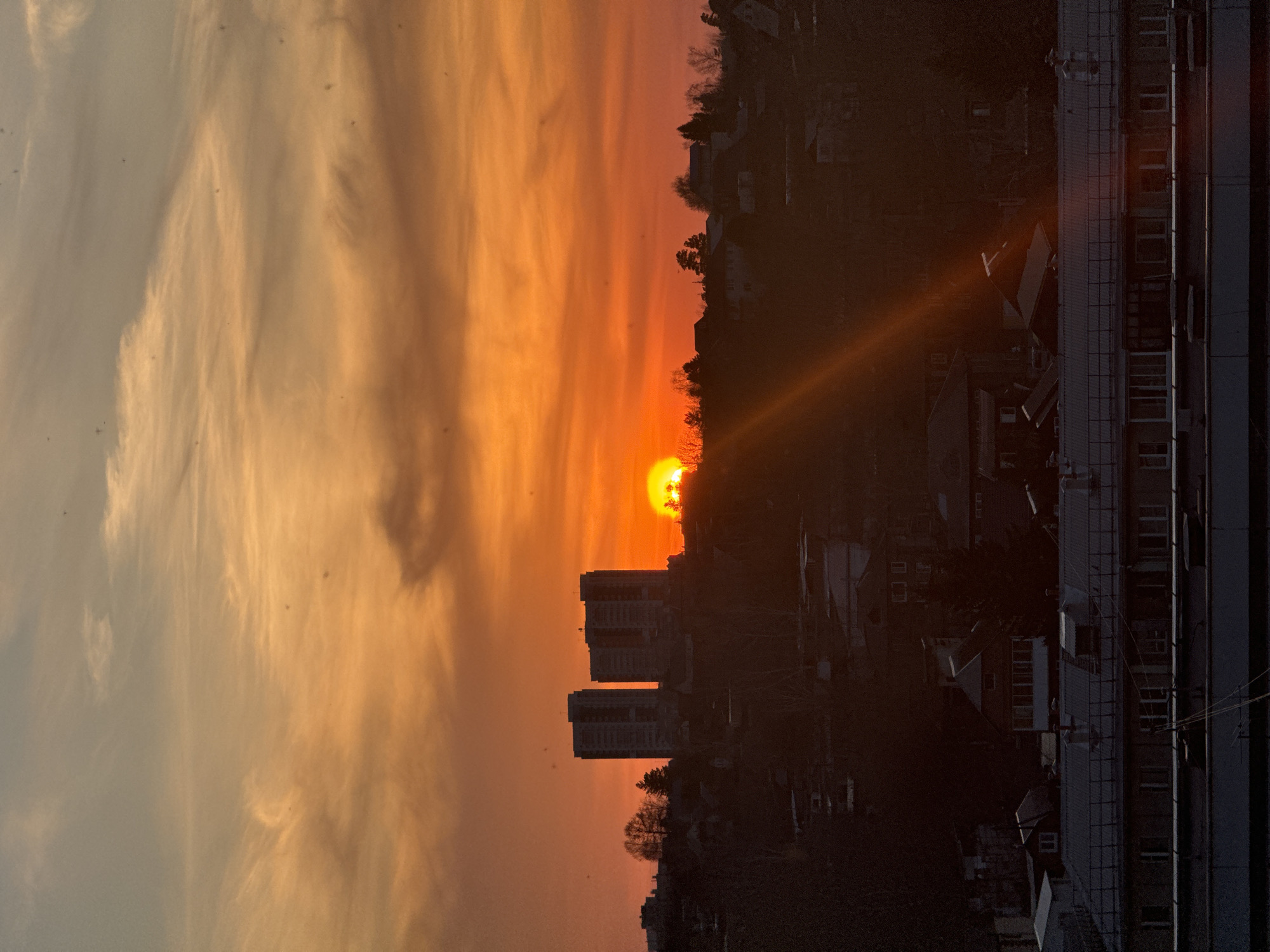 The image presents a dramatic sunset over what is identified as Krasnoyarsk, Russia, viewed from an elevated vantage point. The bright, intense orange-yellow sun is low on the horizon, partially veiled by the dark, silhouetted forms of distant trees and the crests of hills. A prominent ray of sunlight or lens flare extends diagonally from the sun across the darker foreground.
The sky is a vibrant spectacle of warm colors, ranging from fiery oranges and deep reds near the horizon to softer golden-yellows and lighter, almost pale blue tones further overhead. Wispy, elongated clouds are scattered throughout the sky, beautifully illuminated by the setting sun.
The urban landscape beneath the horizon is largely cast in deep shadow, creating stark silhouettes against the brilliant sky. On the left, two prominent high-rise buildings stand tall, their structures dark against the sunset glow. Residential houses with discernible roofs and details are scattered across the mid-ground, also appearing as dark forms. To the far right, a large, darker building with multiple visible windows and architectural elements, such as exterior ladders or railings, frames the right edge of the composition. Bare, leafless trees are dotted across the hillsides and among the buildings. Small, dark specks, possibly dust on the camera lens or tiny distant birds, are visible against the illuminated sky.
No people are visible in the scene, and there is no discernible text. The overall atmosphere is one of serene beauty at dusk, highlighting the natural spectacle of the sunset over an urban environment.