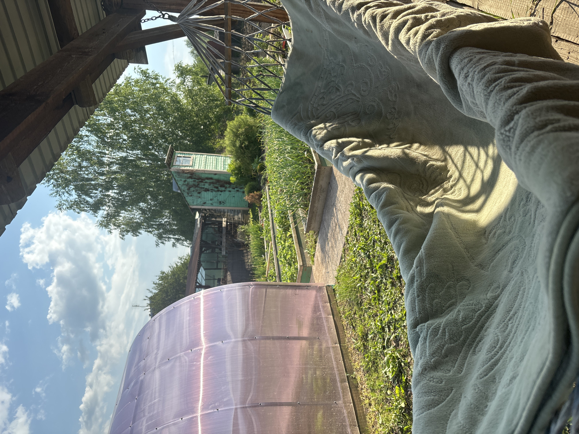 The image depicts a backyard scene in Zheleznogorsk, Russia, bathed in the warm light of late afternoon or early morning. In the foreground, a light green, patterned blanket is draped over a hammock, suggesting a place for relaxation. The hammock is suspended from a wooden structure with a corrugated metal roof, part of a covered patio or gazebo. Beyond the hammock, a raised garden bed with green plants, possibly vegetables, is visible, separated by a pathway. To the left, a large, arched greenhouse with a translucent, possibly polycarbonate, material dominates the mid-ground. Further in the background, a small, weathered, green wooden structure, perhaps a shed or utility building, stands amongst lush green trees. The sky above is a clear blue with scattered white clouds, indicating fair weather. The overall impression is one of a peaceful, domestic rural or suburban setting.