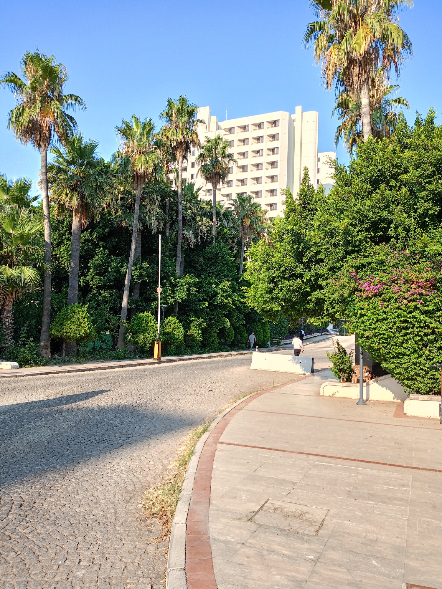 The image depicts a sunny day in Antalya, Turkey, showcasing a curved paved road and sidewalk lined with lush greenery and palm trees. In the background, a large, multi-story hotel with a beige facade stands tall against a clear blue sky. The road, made of cobblestones, curves to the right, with a sidewalk to its left, separated by a decorative curb. A white barrier gate is visible on the right side of the road, near the sidewalk. Two individuals are seen walking on the sidewalk in the distance, heading towards the hotel. The environment appears to be a well-maintained resort area, possibly part of the hotel's grounds or an access road leading to it. The lighting suggests it's either morning or late afternoon, with distinct shadows cast on the road.