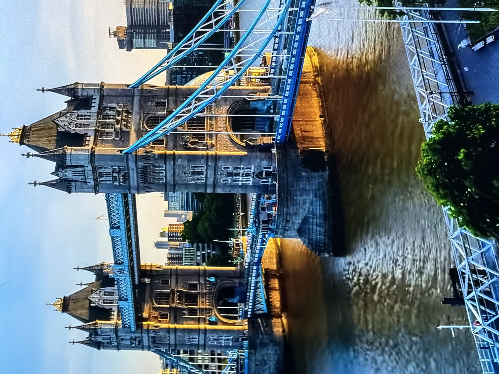 This image, set in Maidstone, United Kingdom, displays a large, prominent bridge with two imposing Gothic-style towers, bathed in the warm, golden light of either sunrise or sunset. The towers, constructed from grey stone, feature intricate architectural details including arched windows, turrets, and pinnacles, with golden accents on their upper sections. An upper walkway, characterized by a blue lattice-like structure, connects the two main towers. Below, the road deck is supported by a system of blue suspension cables extending from the towers.
The bridge spans a wide river, whose surface is calm and reflects the golden light, appearing in shades of brown and ochre with subtle ripples. Along the riverbanks, a modern city skyline stretches into the distance, featuring a variety of buildings, some notably taller, under a clear, pale blue sky. In the lower foreground, a metal pedestrian walkway or dock extends along the river's edge. Green foliage is visible at the very bottom right corner of the frame. No discernible people, specific actions, or interactions are visible within the scene.