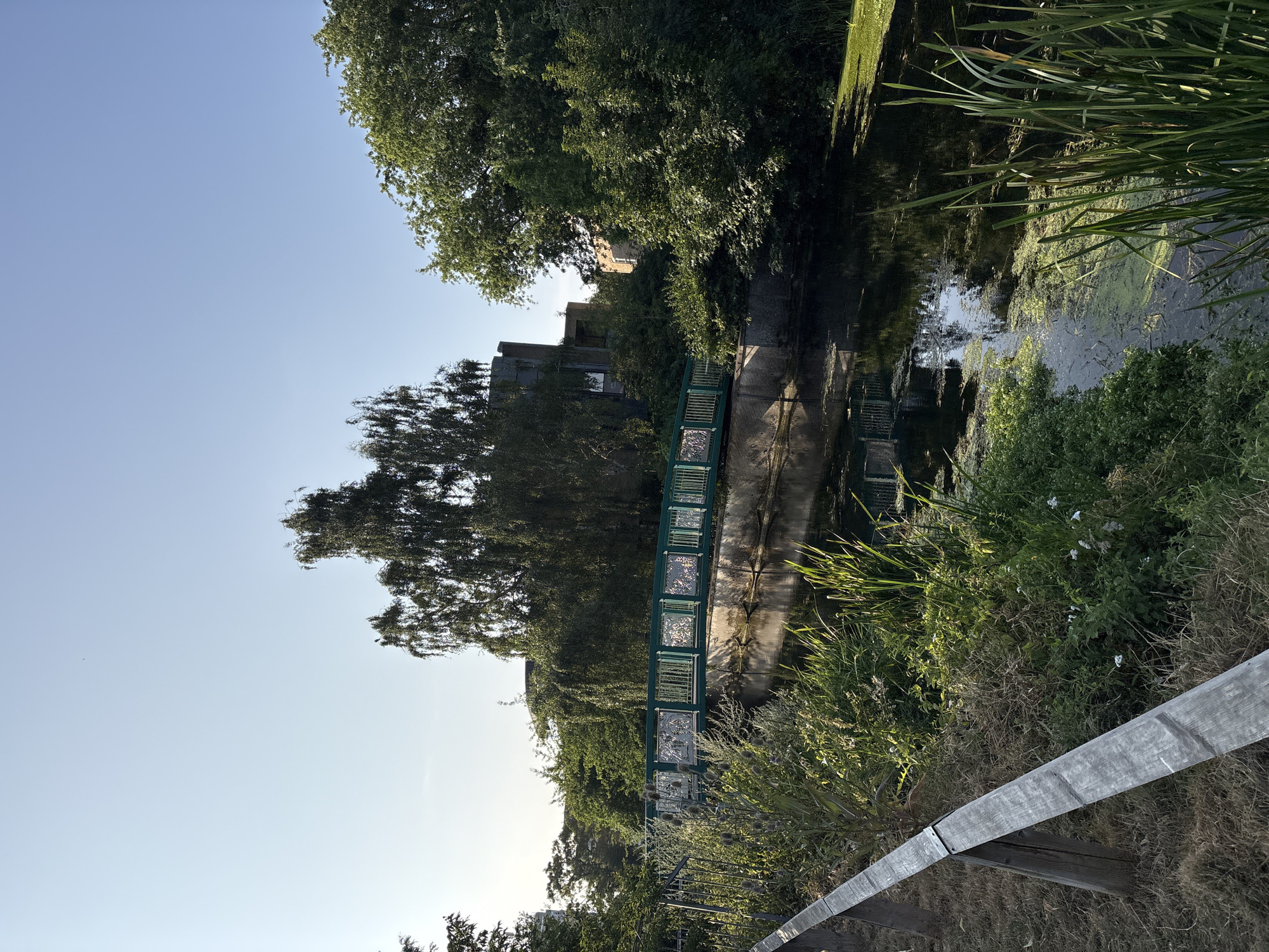 The image shows a canal in Chelmsford, United Kingdom. A green bridge crosses the canal, which is lined with trees and vegetation. The sky is clear and blue, and the sun is shining. The canal is filled with dark water, and there is some algae on the surface. The bridge has a decorative railing with a floral pattern. There is a wooden fence along the bank of the canal in the foreground. Buildings are visible behind the trees on the far bank.