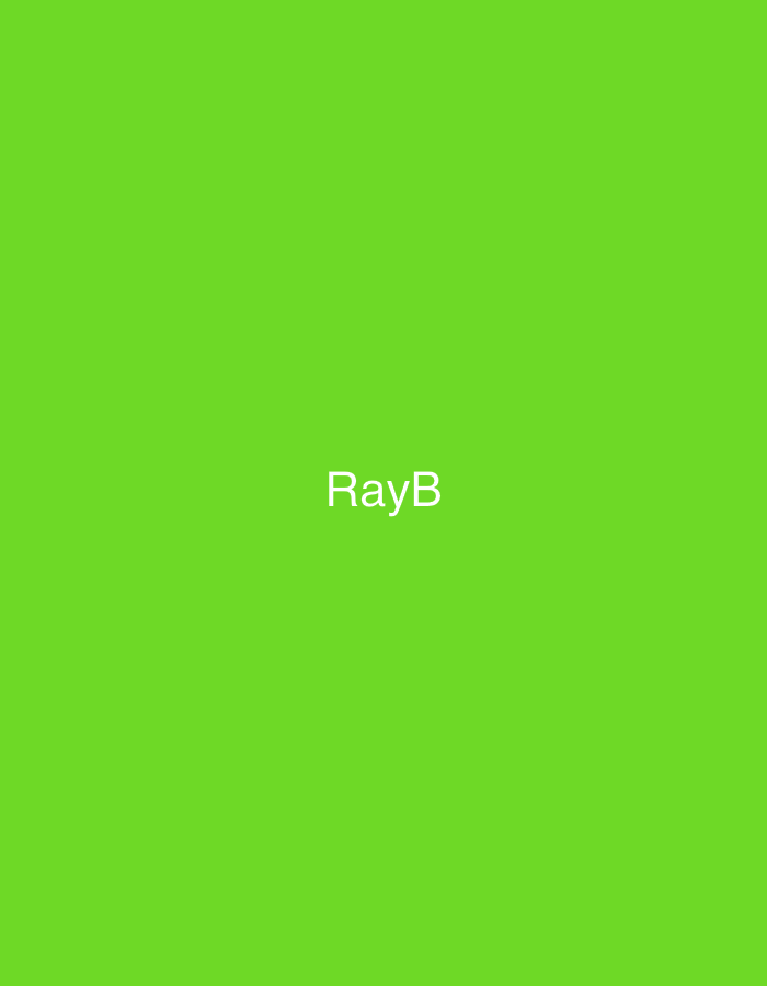 The image displays a minimalist scene: a vibrant lime-green background with the white text 'RayB' centrally positioned. The text is rendered in a sans-serif font with an uppercase 'R' and 'B', and lowercase 'ay'. There are no other discernible subjects, objects, or environmental features within this graphic. This scene is located in the city of Casablanca, Morocco.